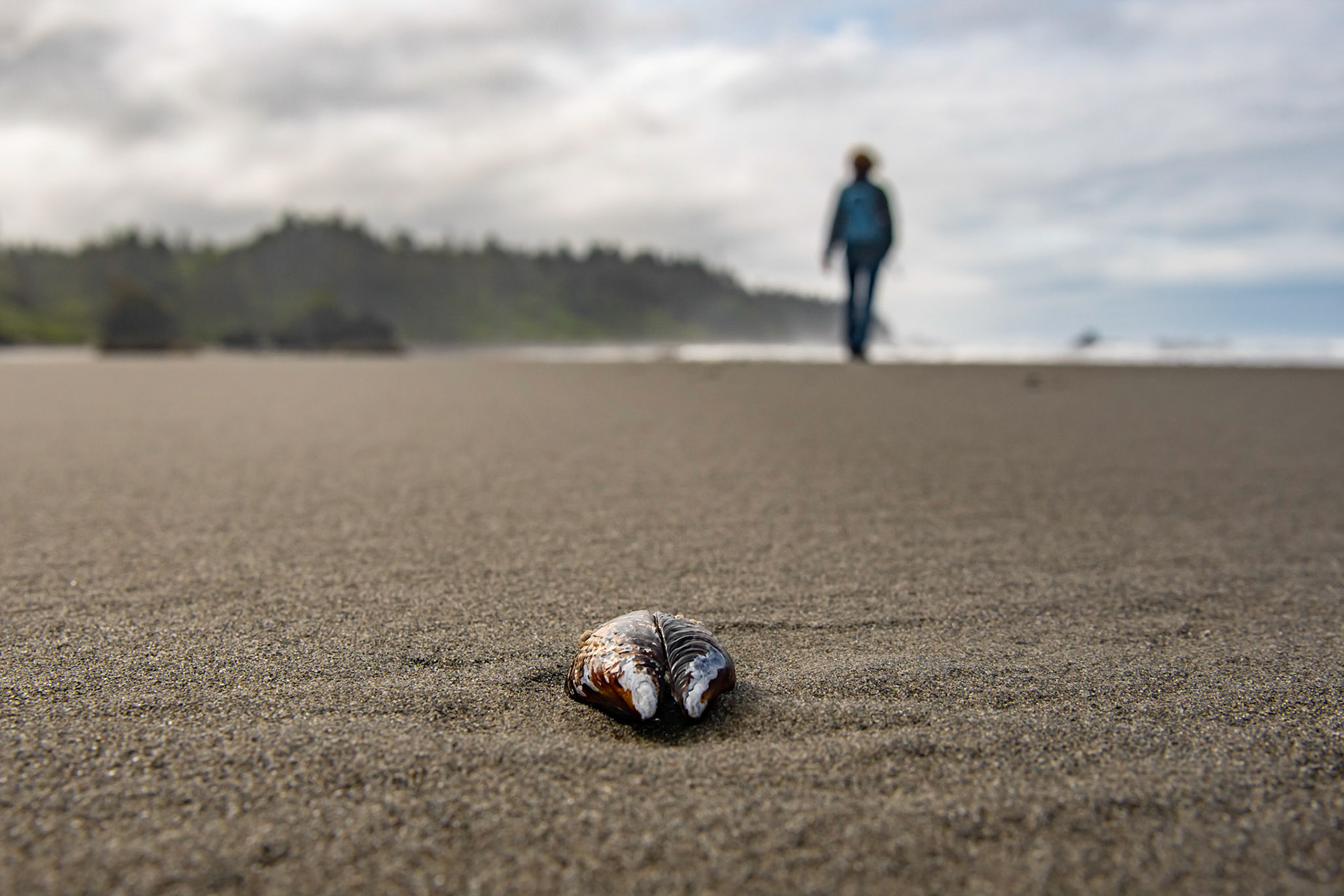 Ruby Beach - Washington - USA