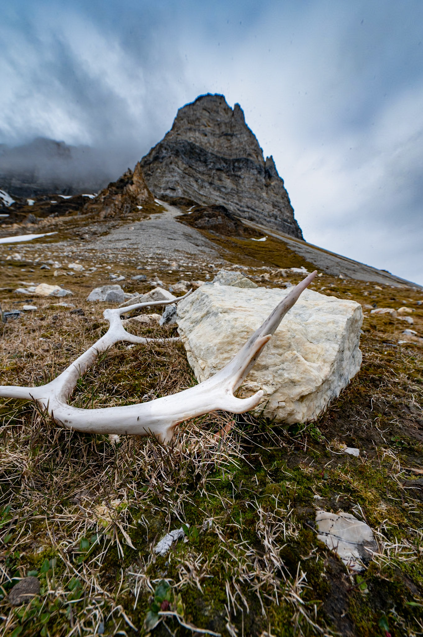 Alkhornet, Spitsbergen, Svalbard