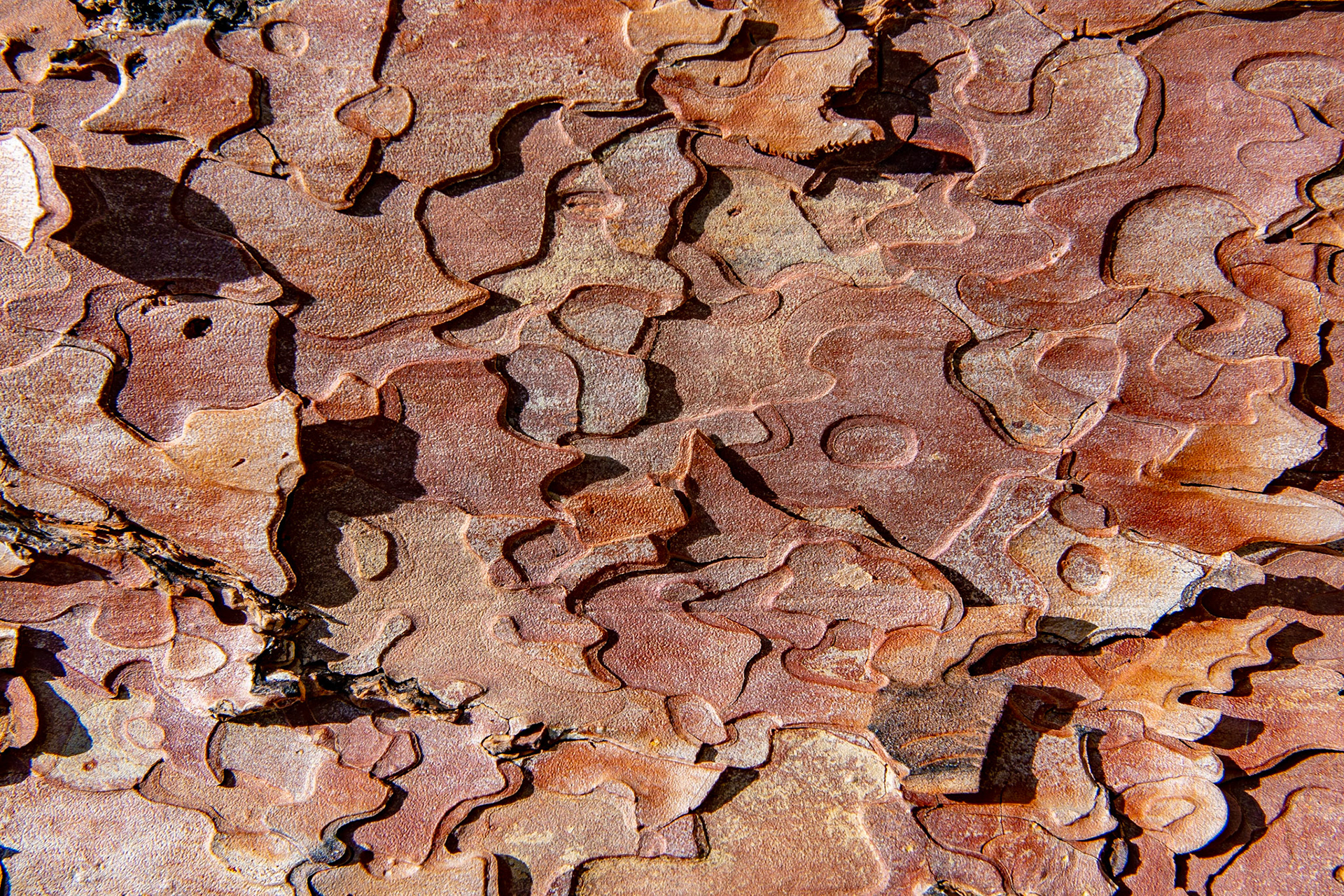 Leavenworth - Washington - USA (2019)