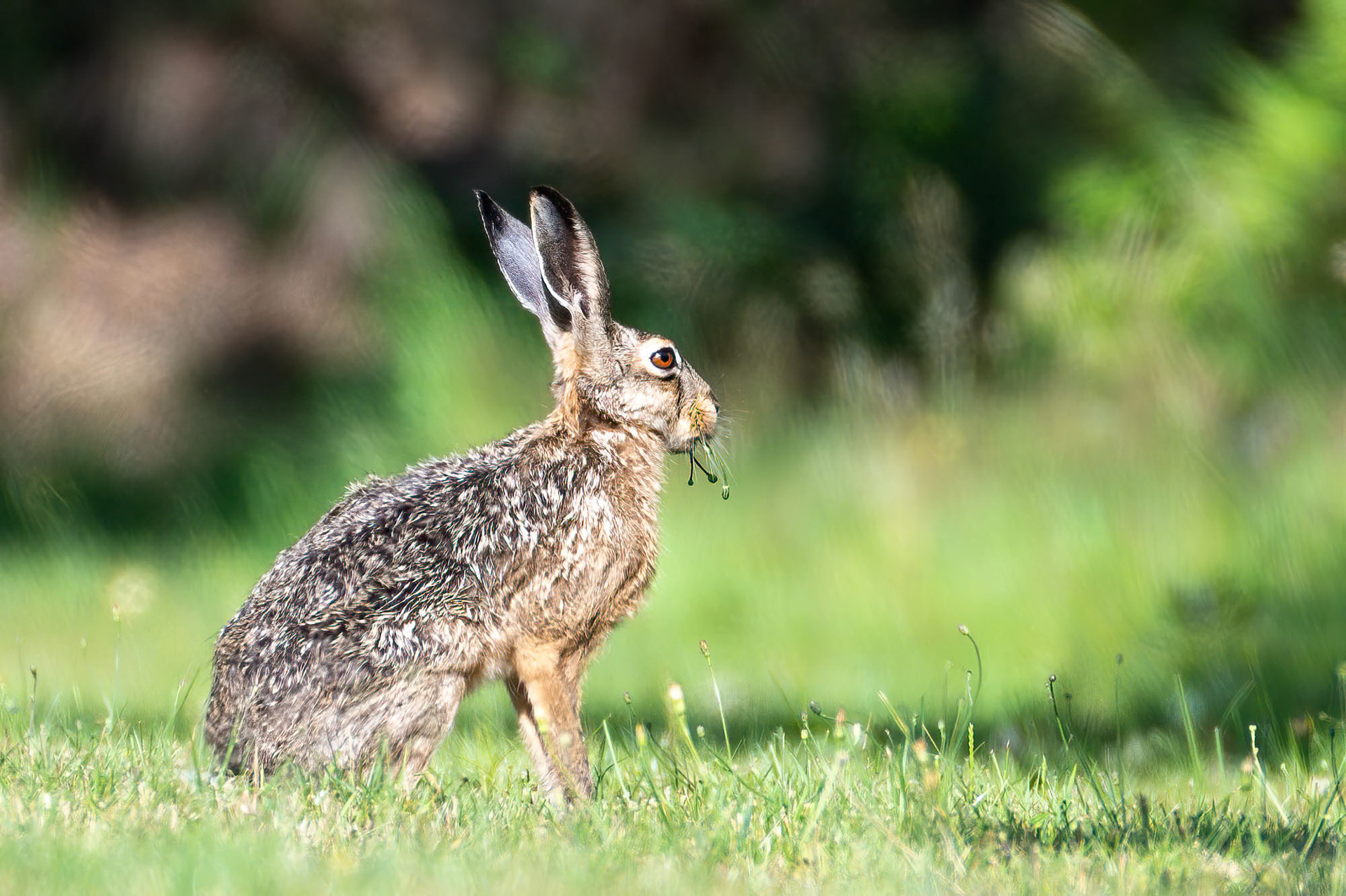 Ouddorp - The Netherlands (2023)
