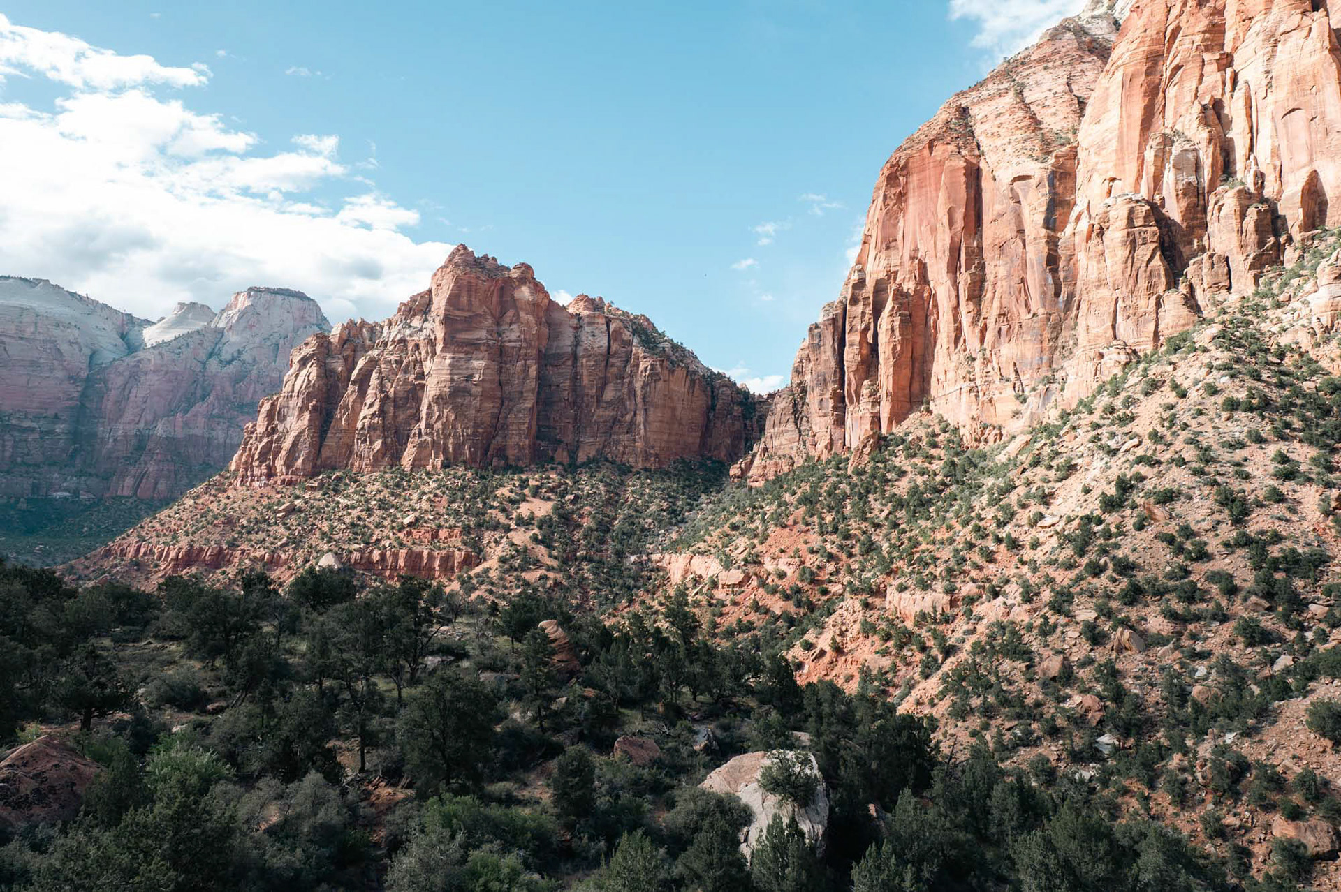 Zion National Park - Utah - USA (2024)
