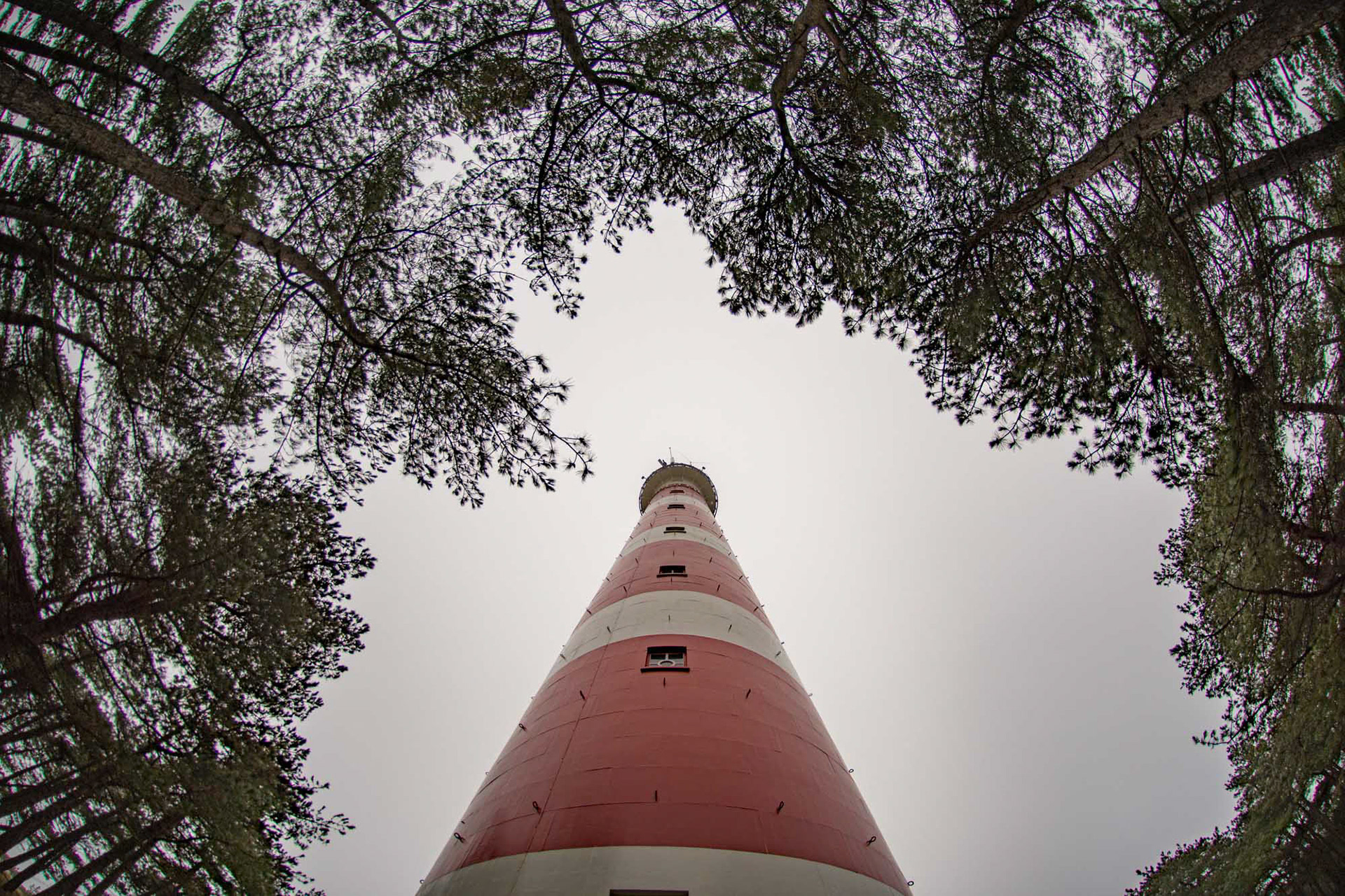 Ameland - The Netherlands (2017)
