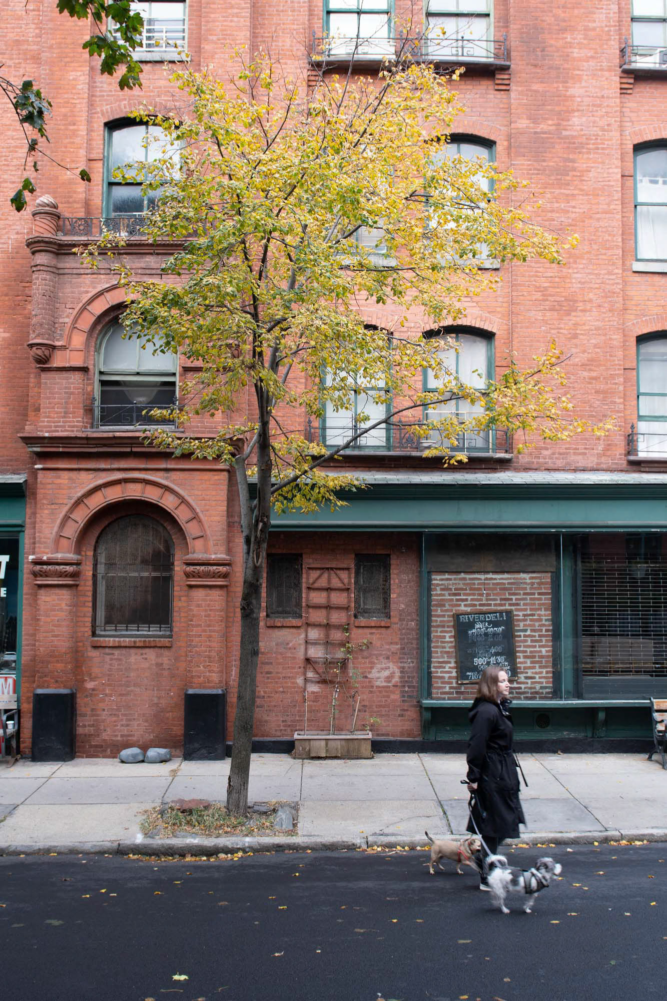 Manhattan - NYC (2019)