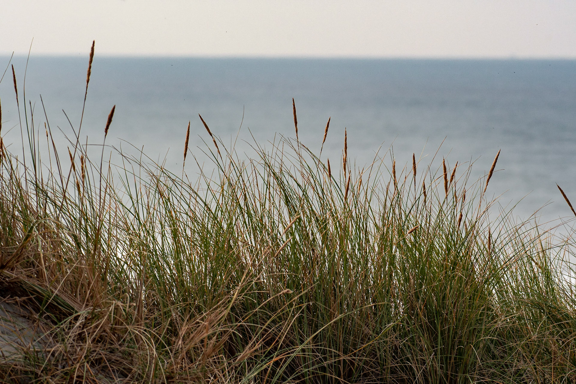 Vlieland - The Netherlands