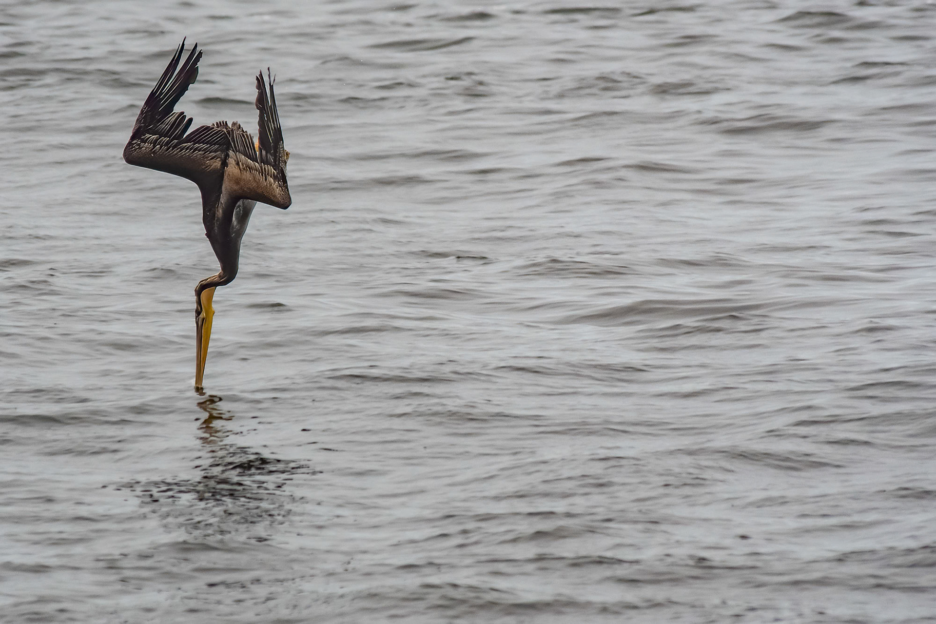 Monterey - Califonia - USA (2018)