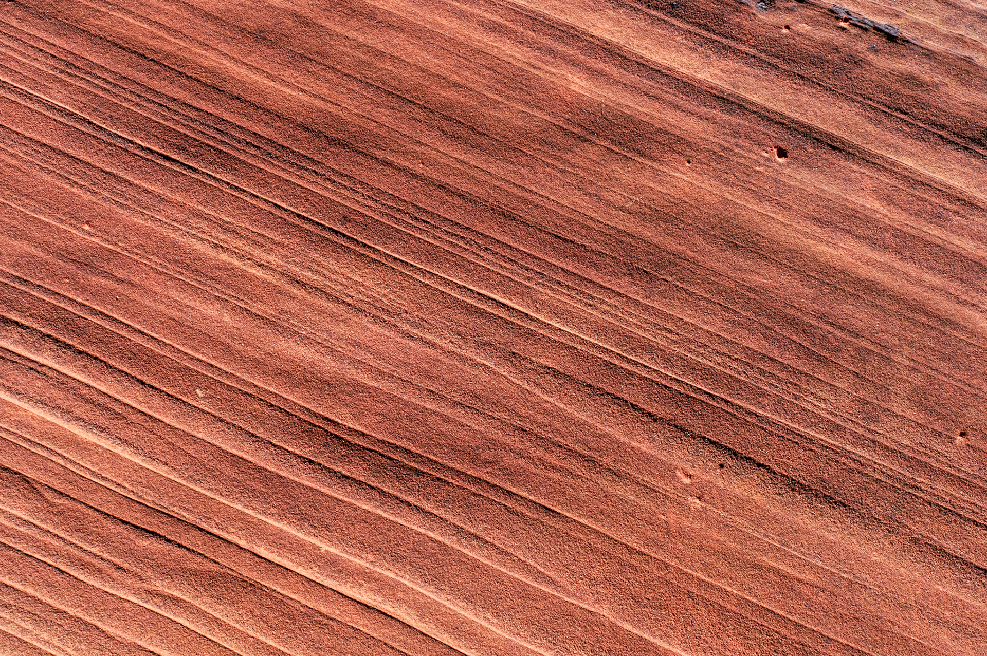 Wire Pass Trailhead - Utah - USA (2024)