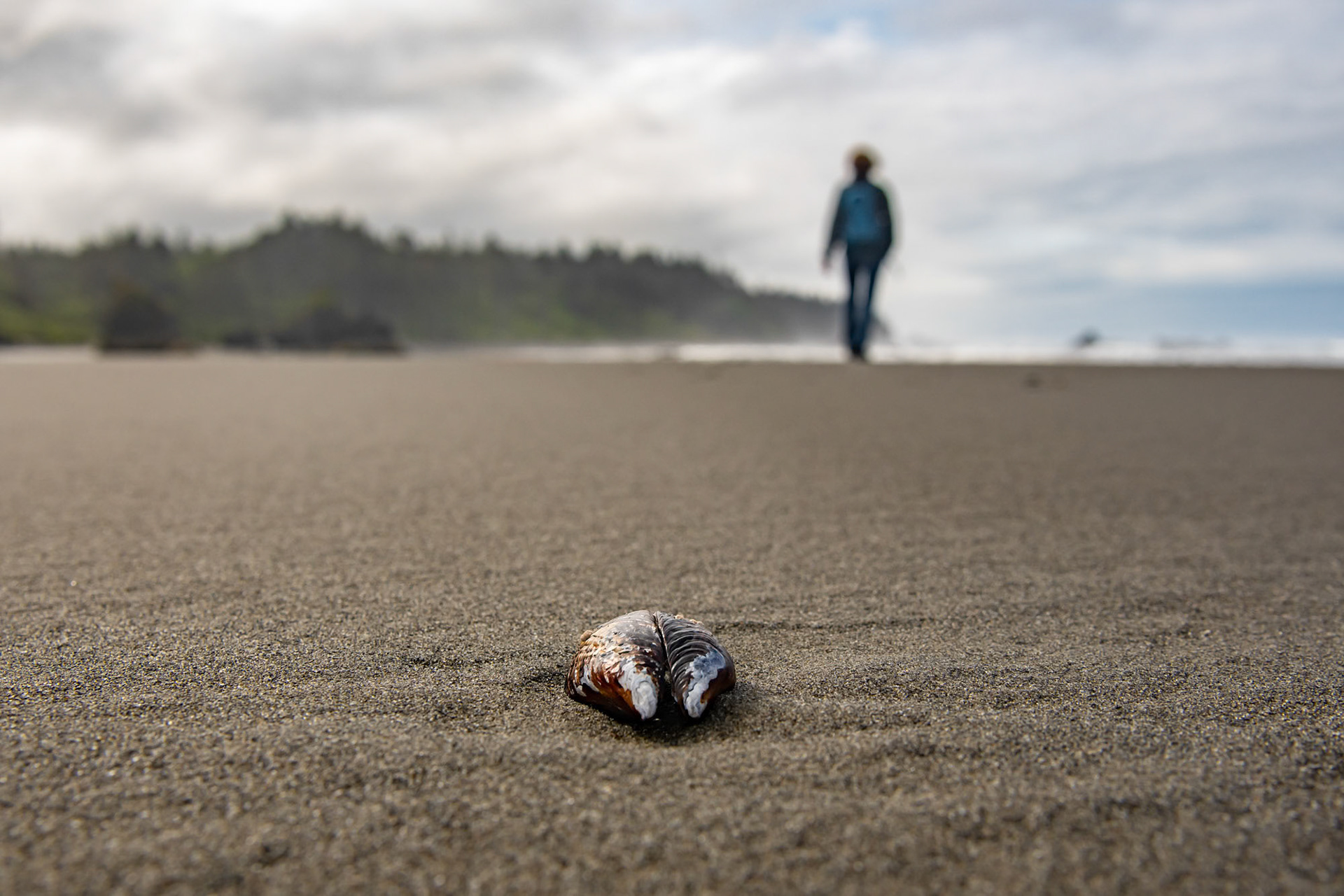 Ruby Beach - Washington - USA (2019)