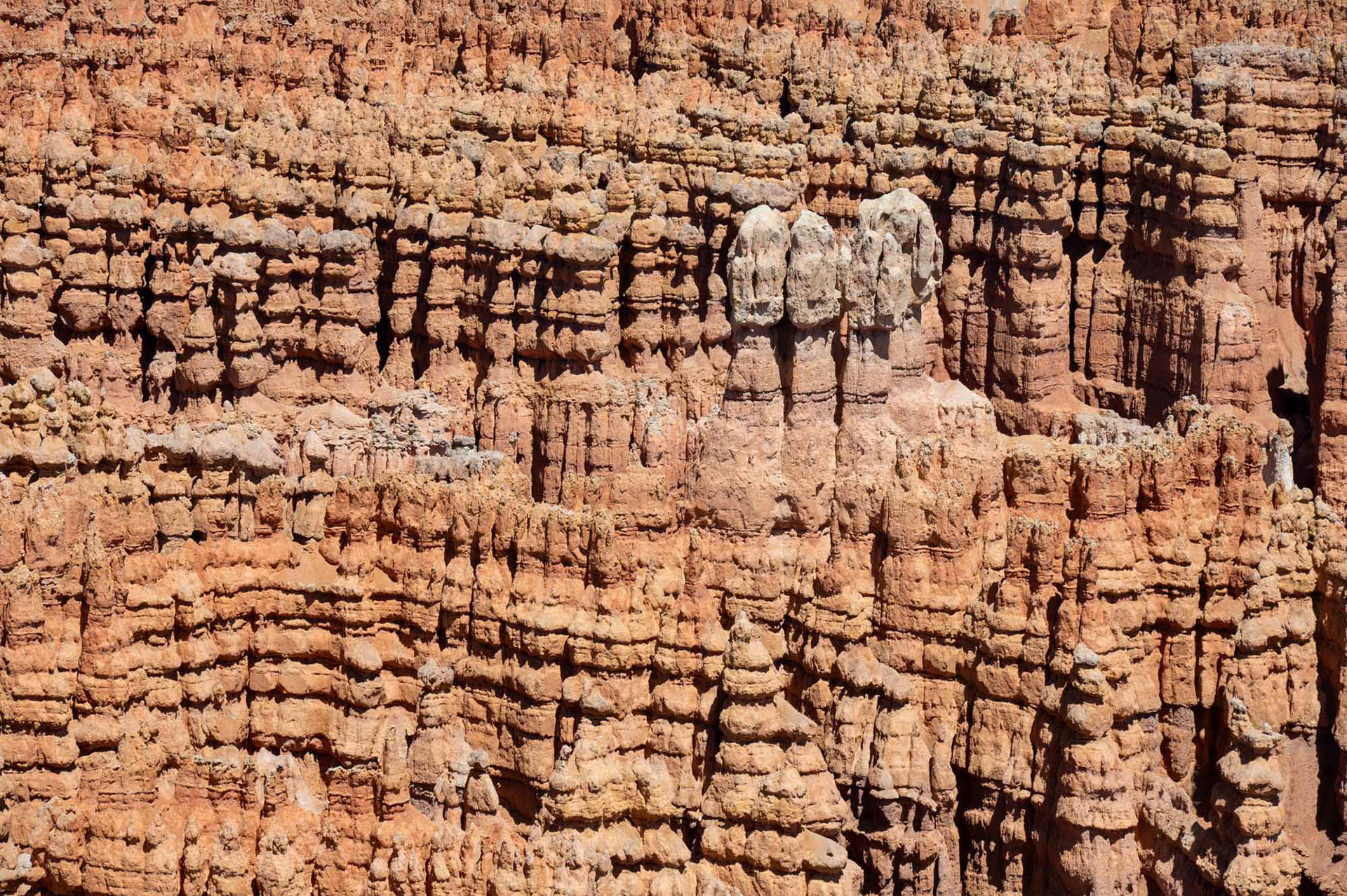 Bryce Canyon National Park - Utah - USA (2024)