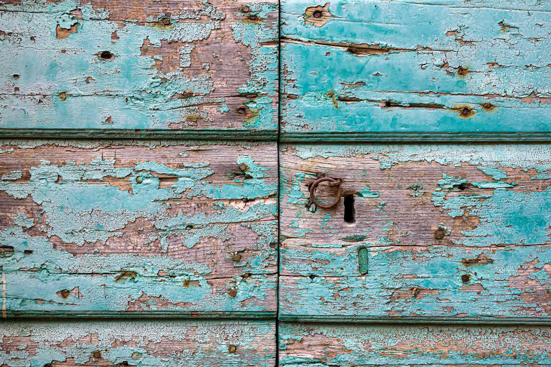 Castagneto Carducci - Tuscany  - Italy (2025)