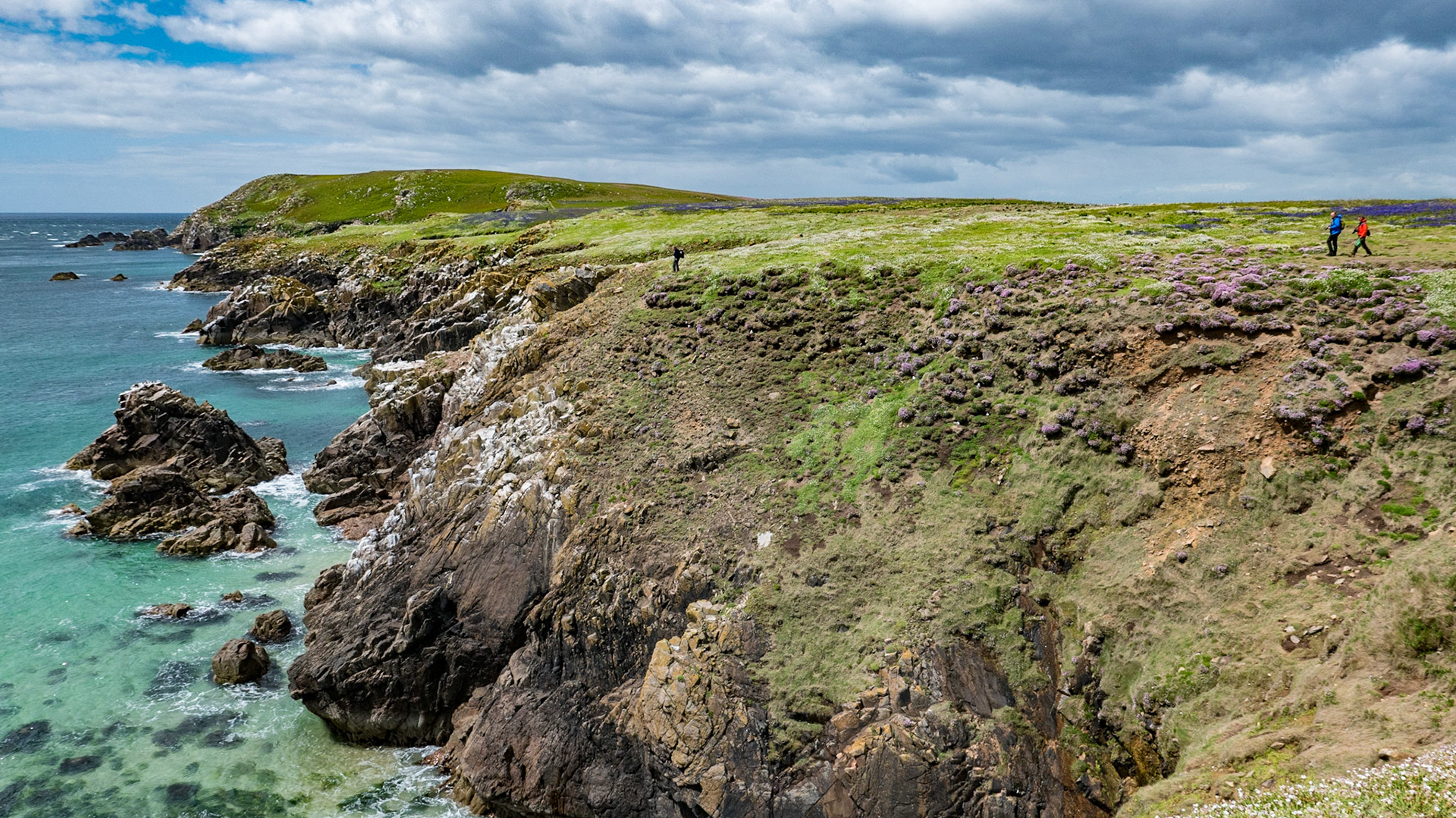 Saltee Island - Ireland