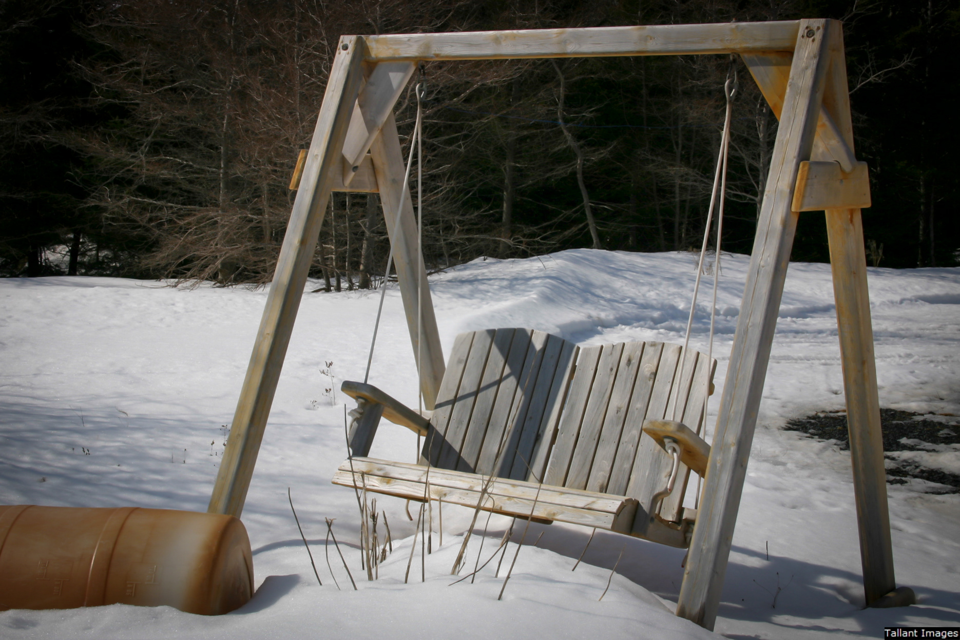 Love Swing for the Dreamers