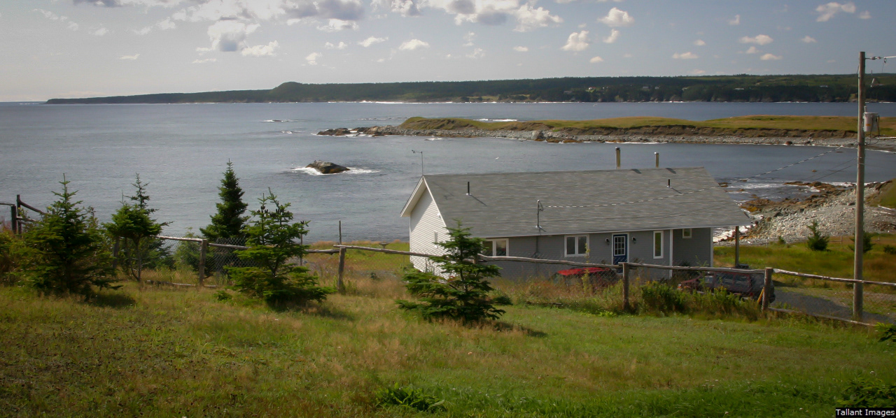 Neighbor House