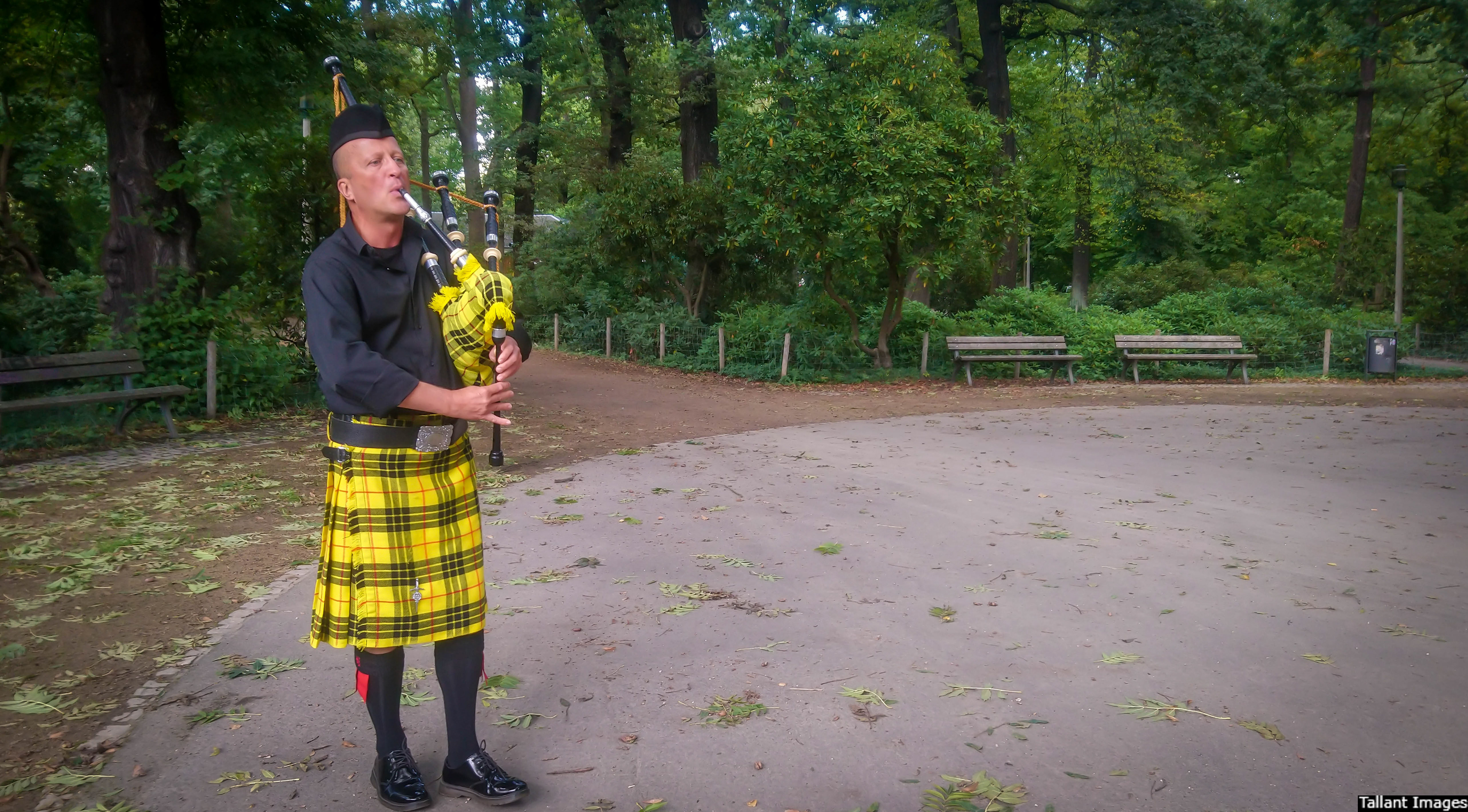 Long live our nobel King