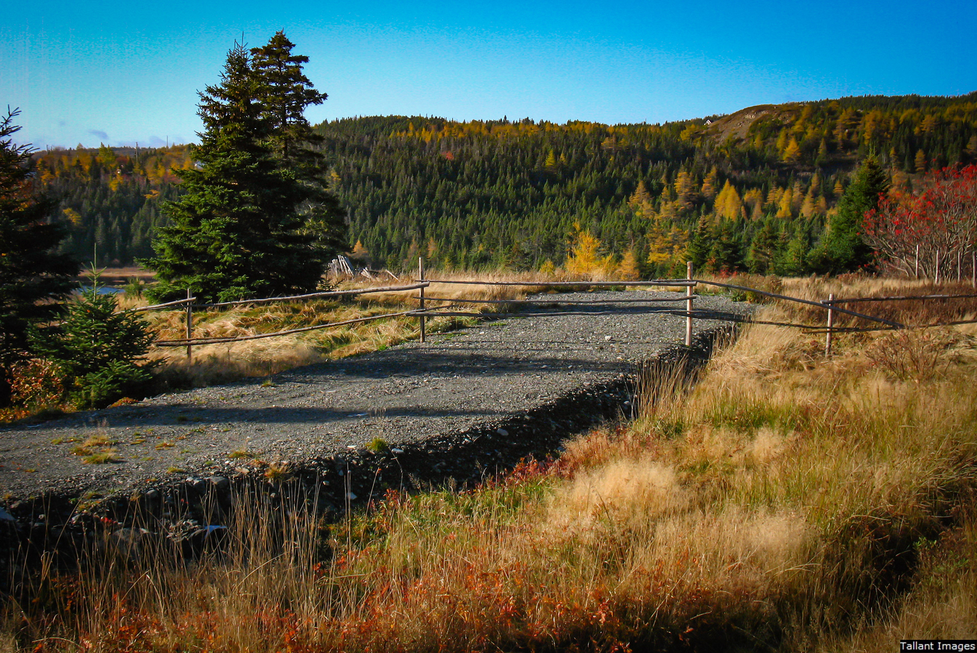 Road to Nowhere, Fall