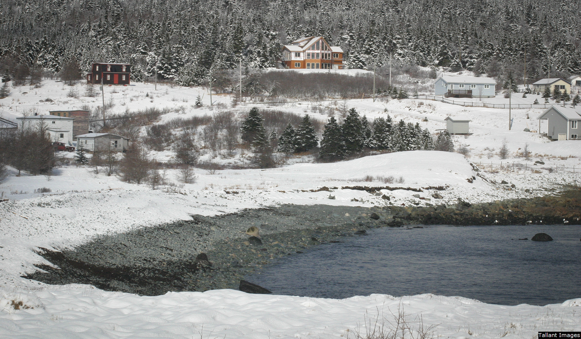 Neighbors at Frente Mar