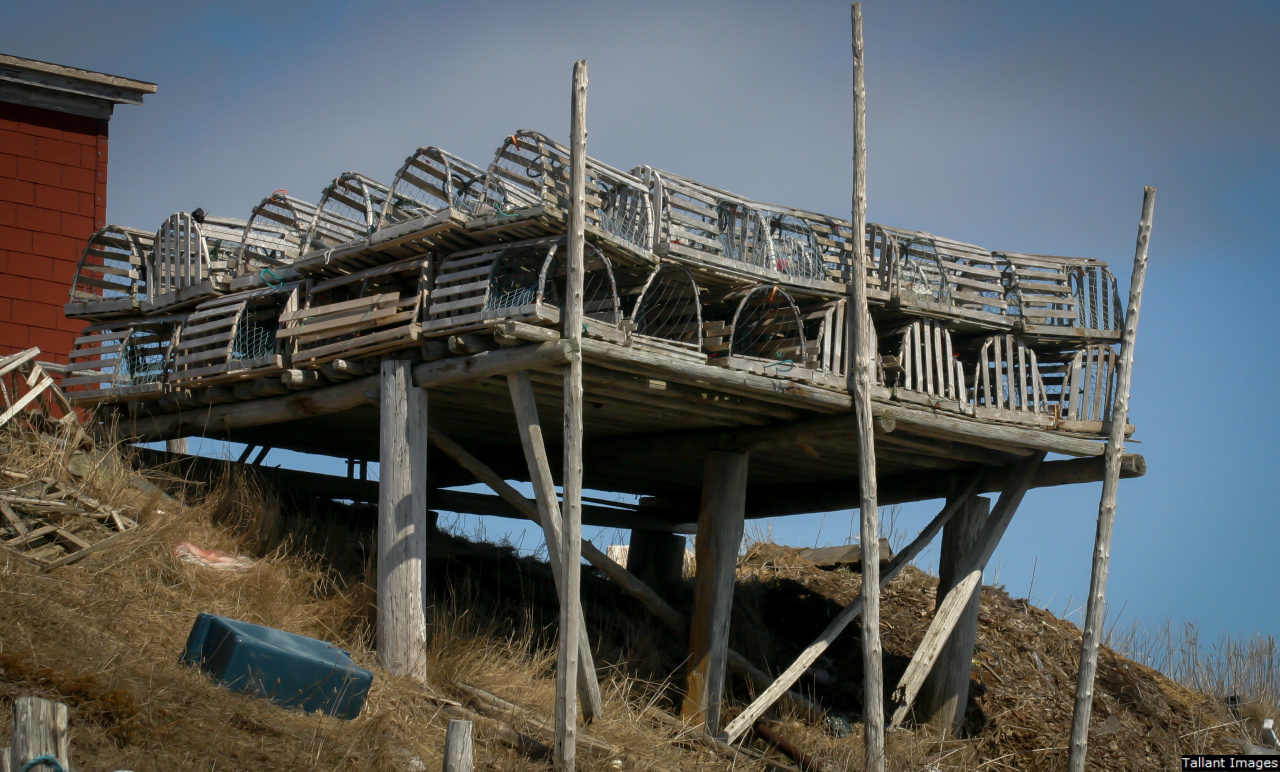 Lobster Traps