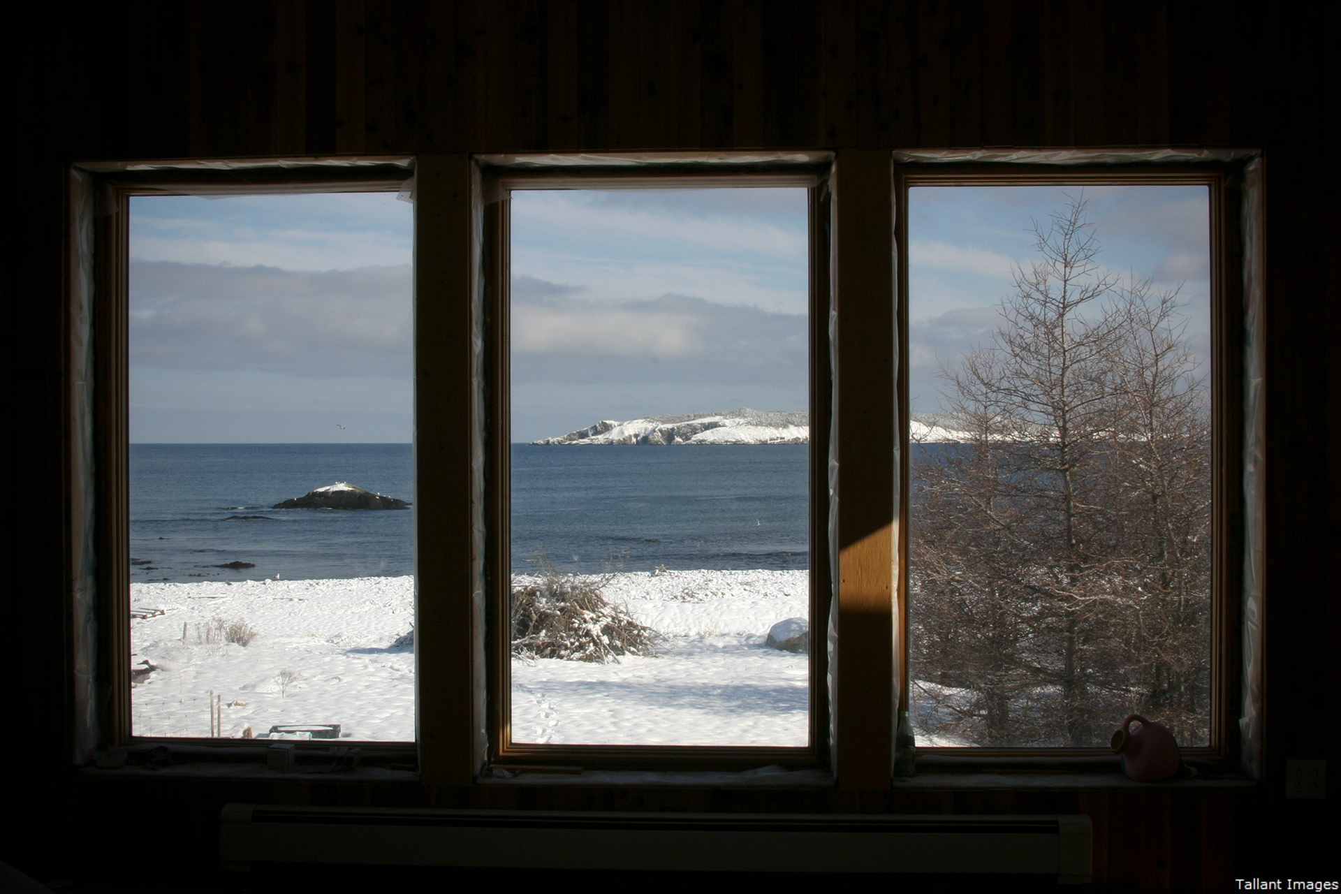 View from Great Room