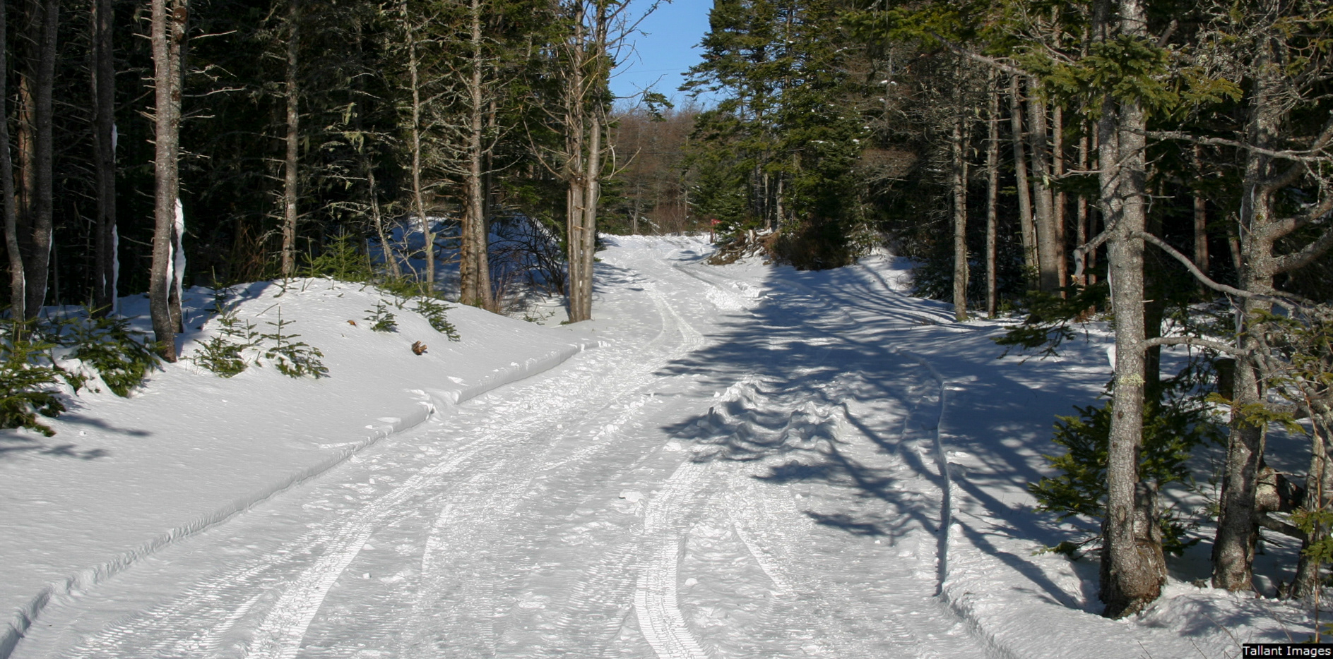 Driveway at Frente Mar in Winter