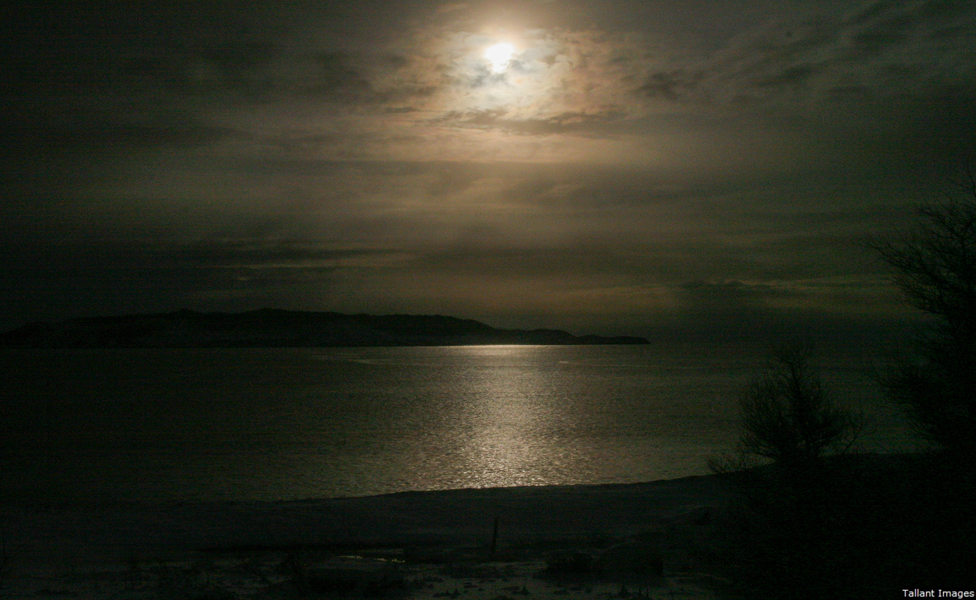 Frpm Frente Mar. Witless Bay in Winter by Moonlight
