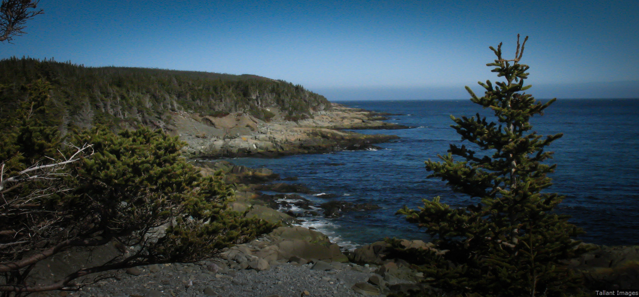 Rugged Shoreline North of Frente Mar