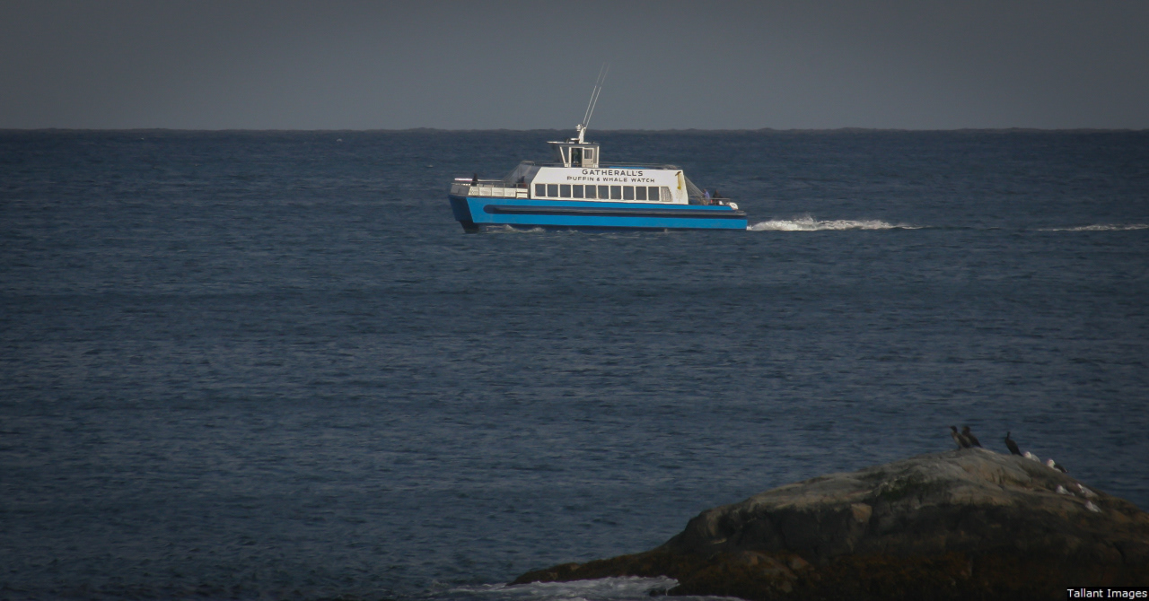 Gatheralls Tour Boat