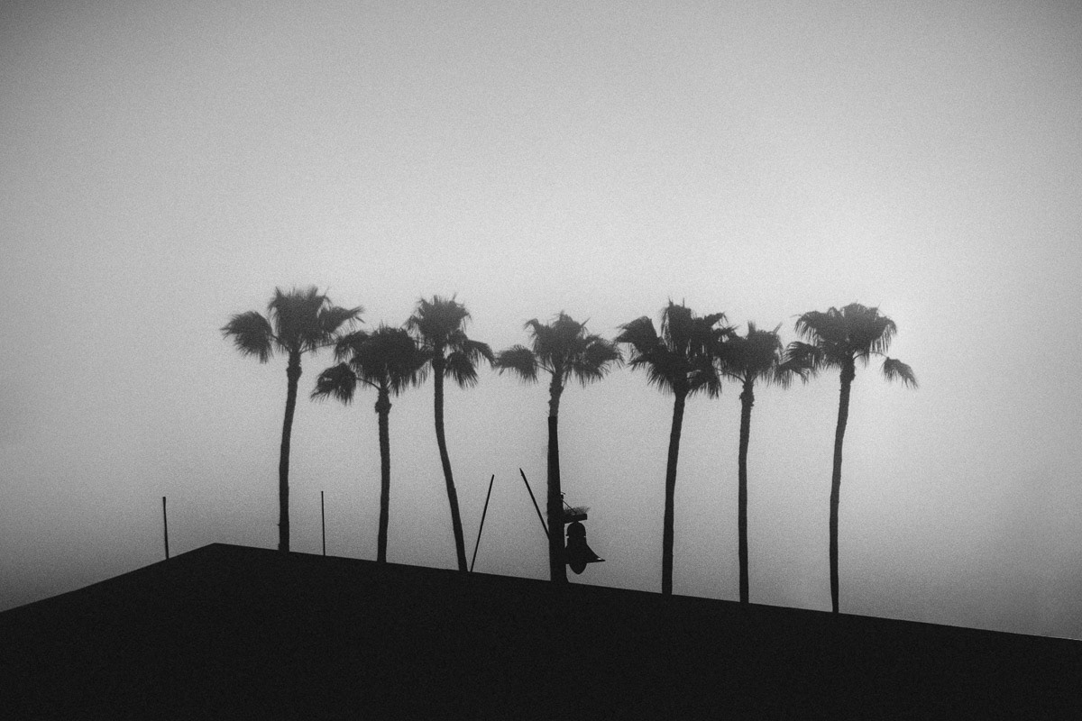 © Hesh Hipp