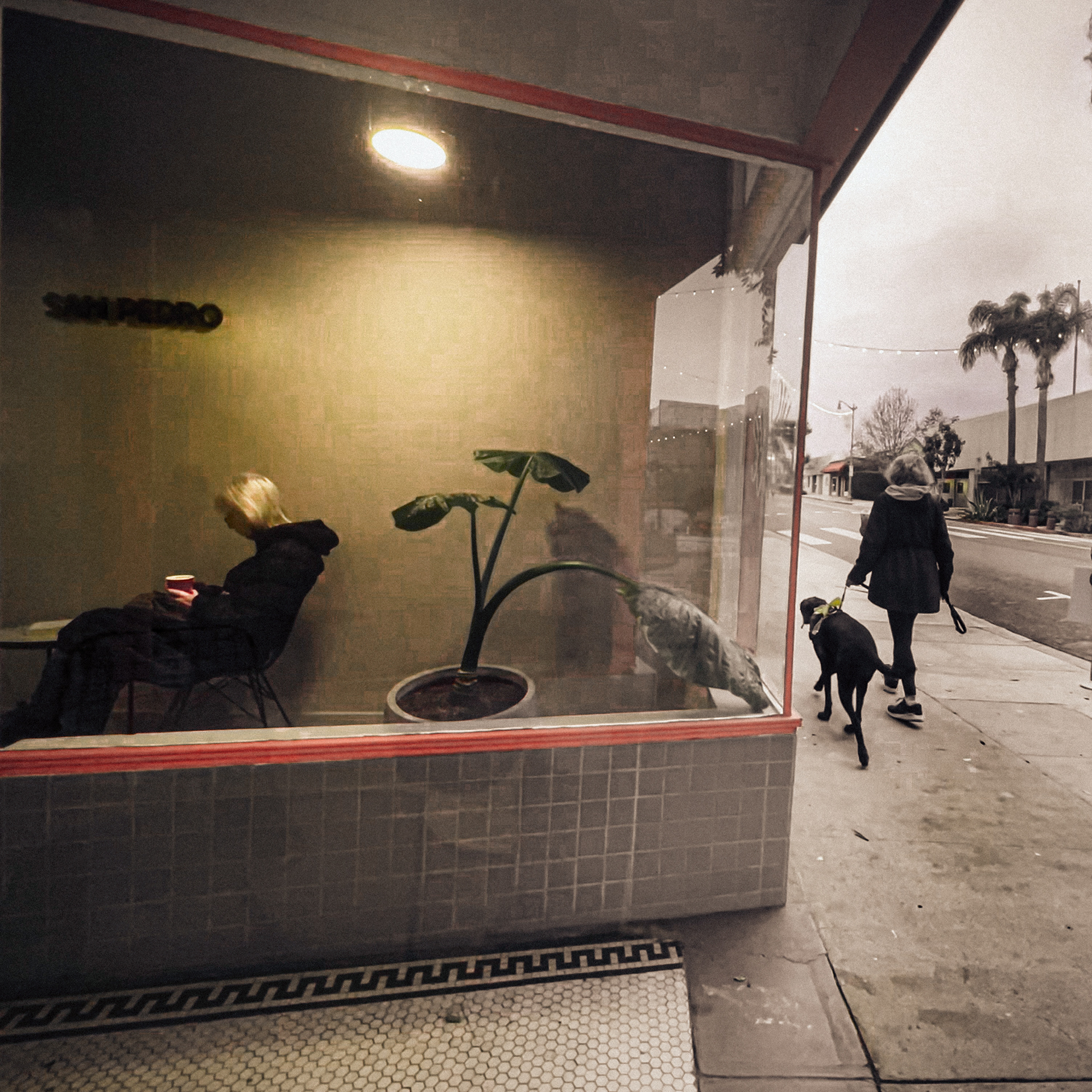 © Skip McCraw