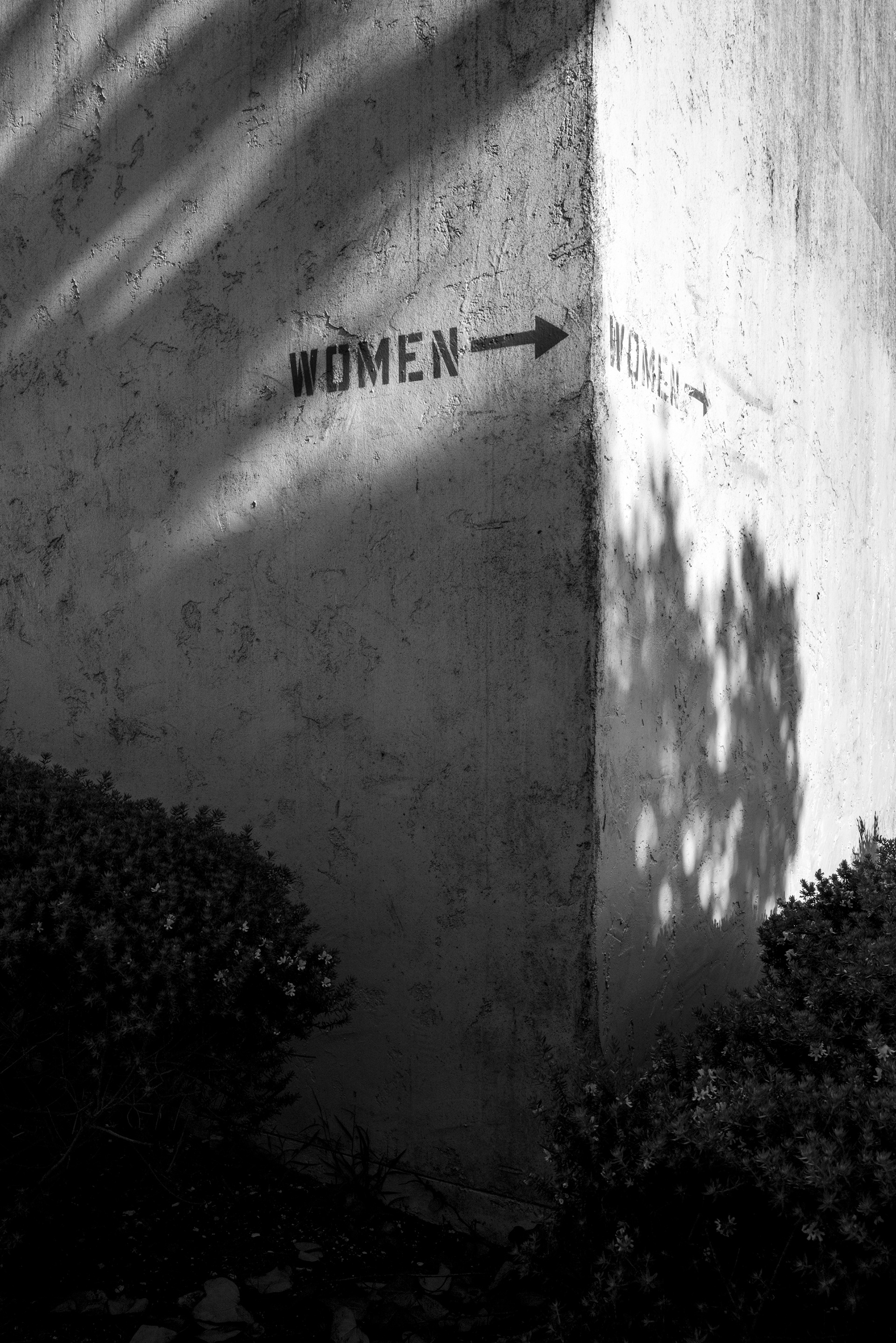 © Alexander Kawasaki