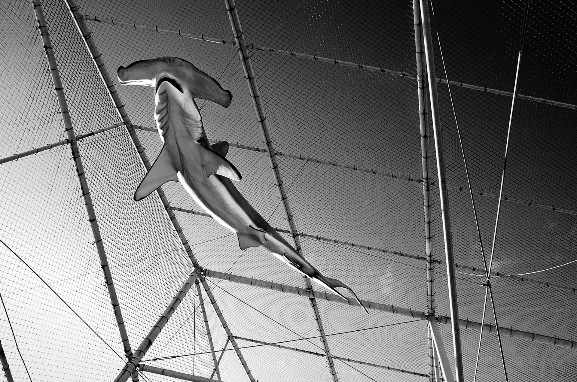 © John Schoenfeld