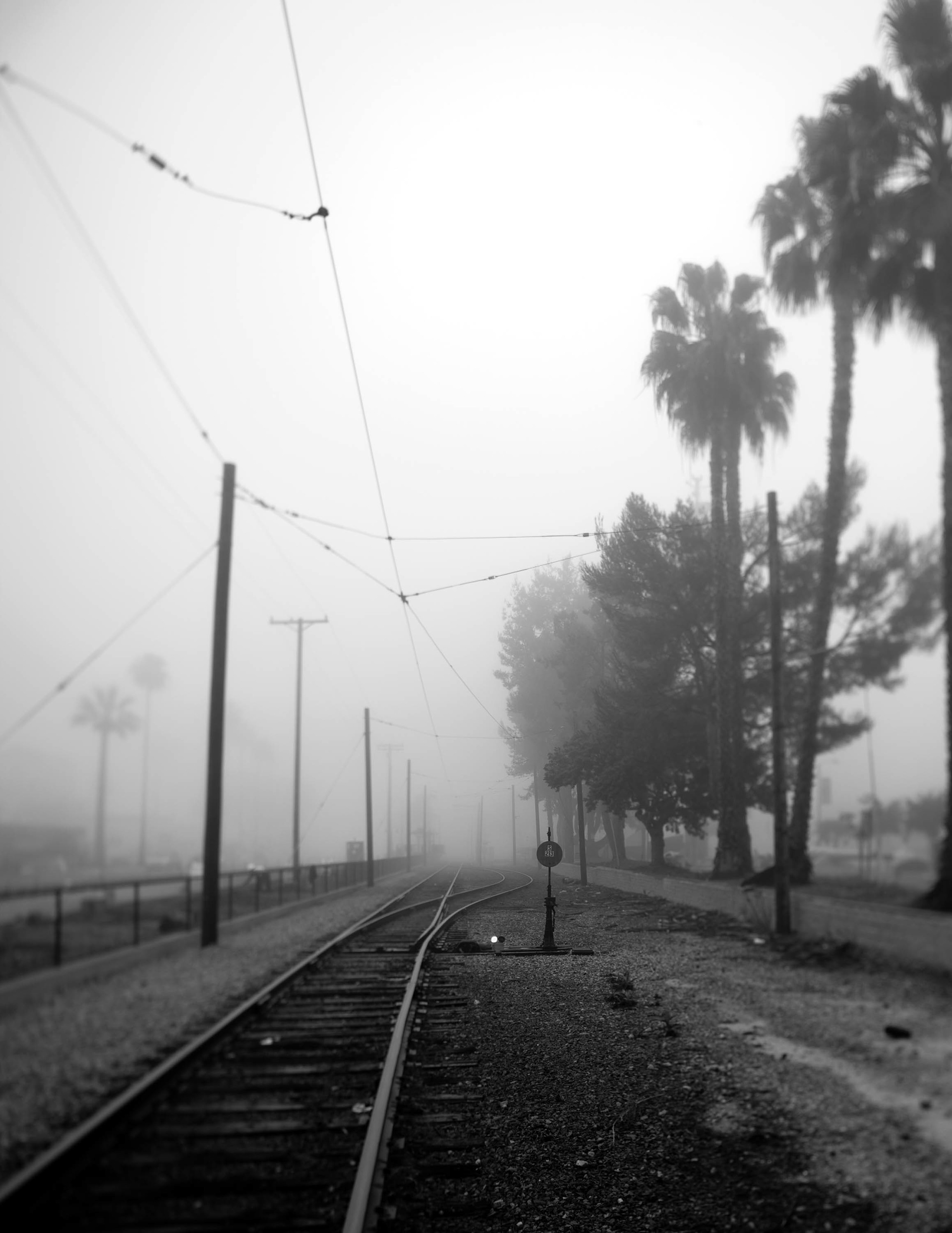 © Paul Turang