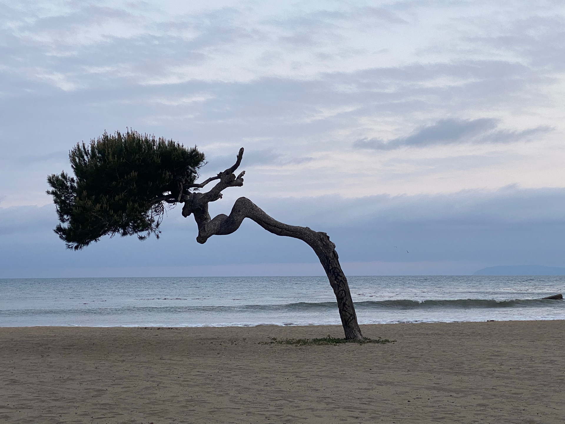 © Emma Rault
