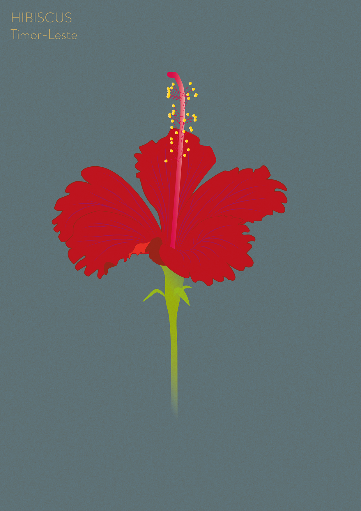 Graphic for WaterAid UK