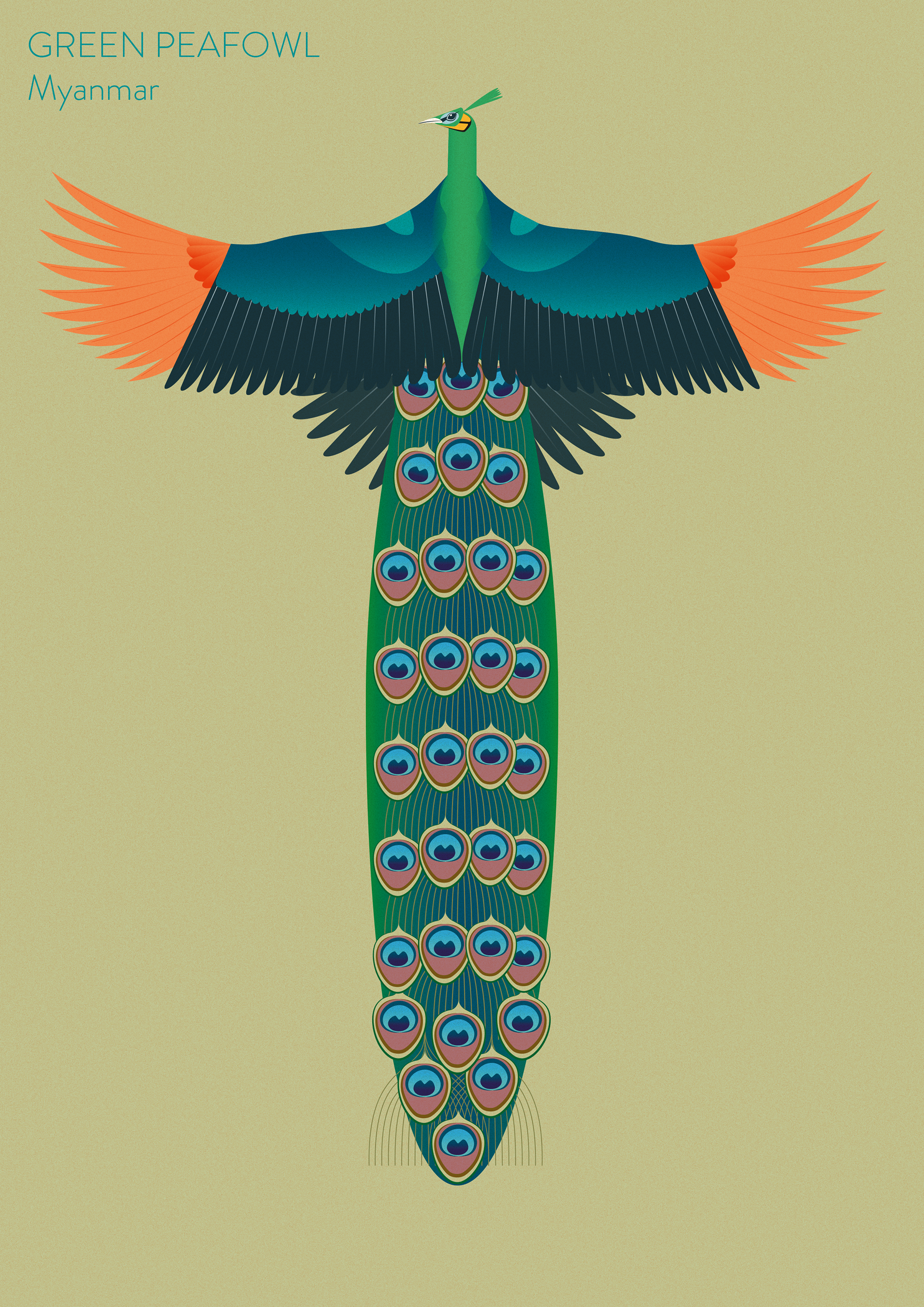 Graphic for WaterAid UK