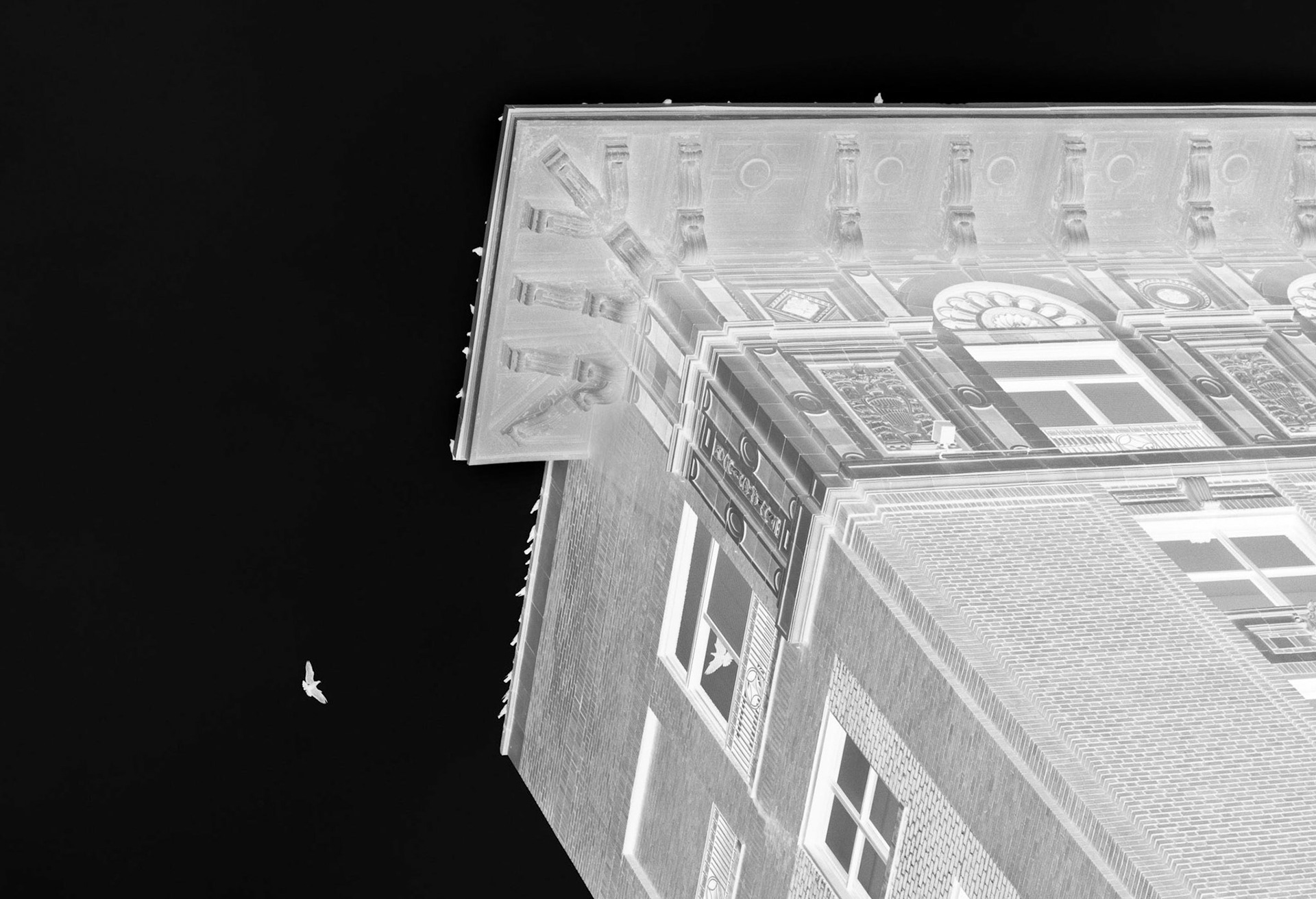 Impressionistic Negative of pigeons on a building in Savannah, GA