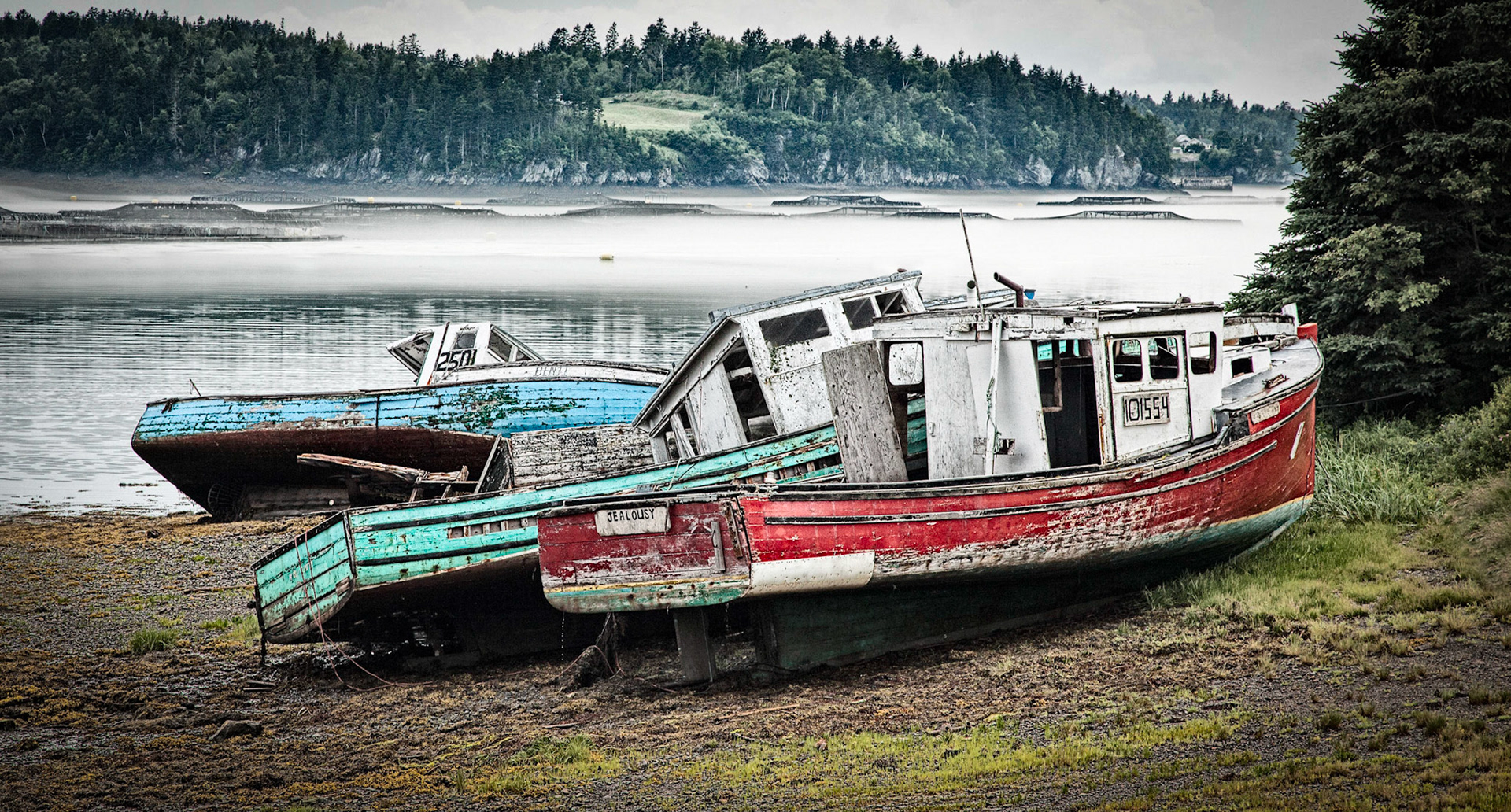 SPS Sept. 3, 2010 First Place Digital Projection