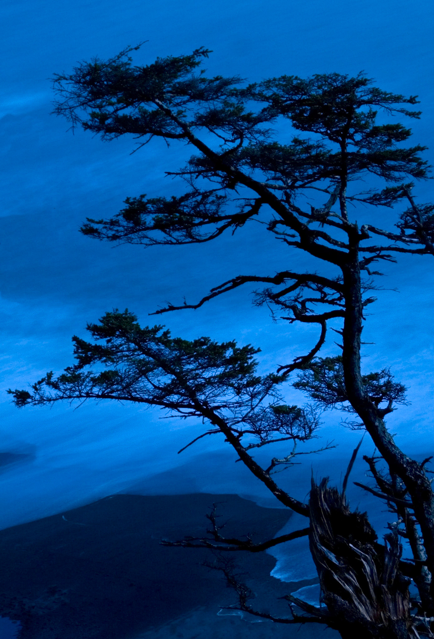 Night Beach Overlook