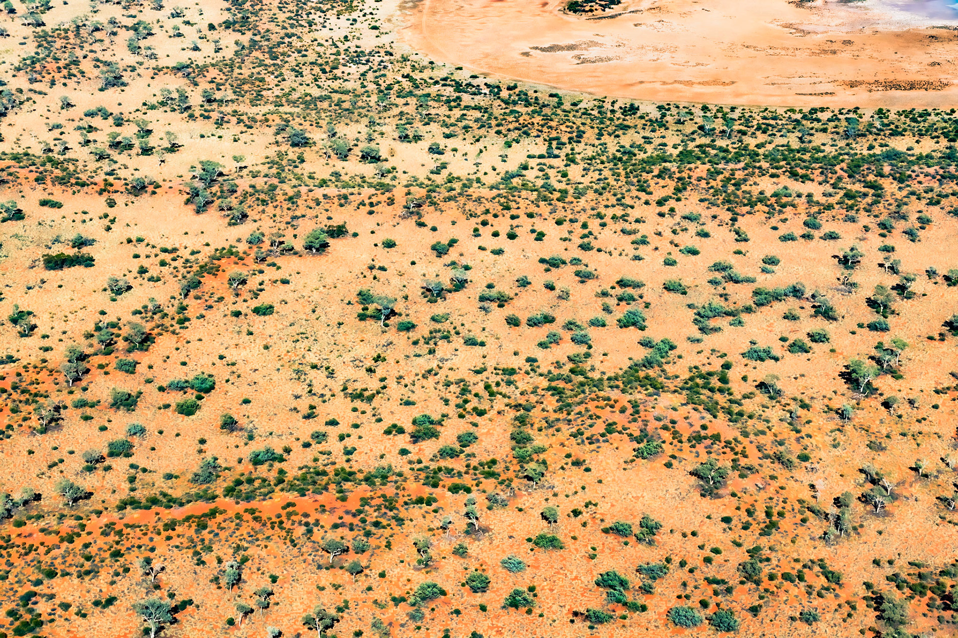 Outback - Helikopterflug zum Lake Amadeus