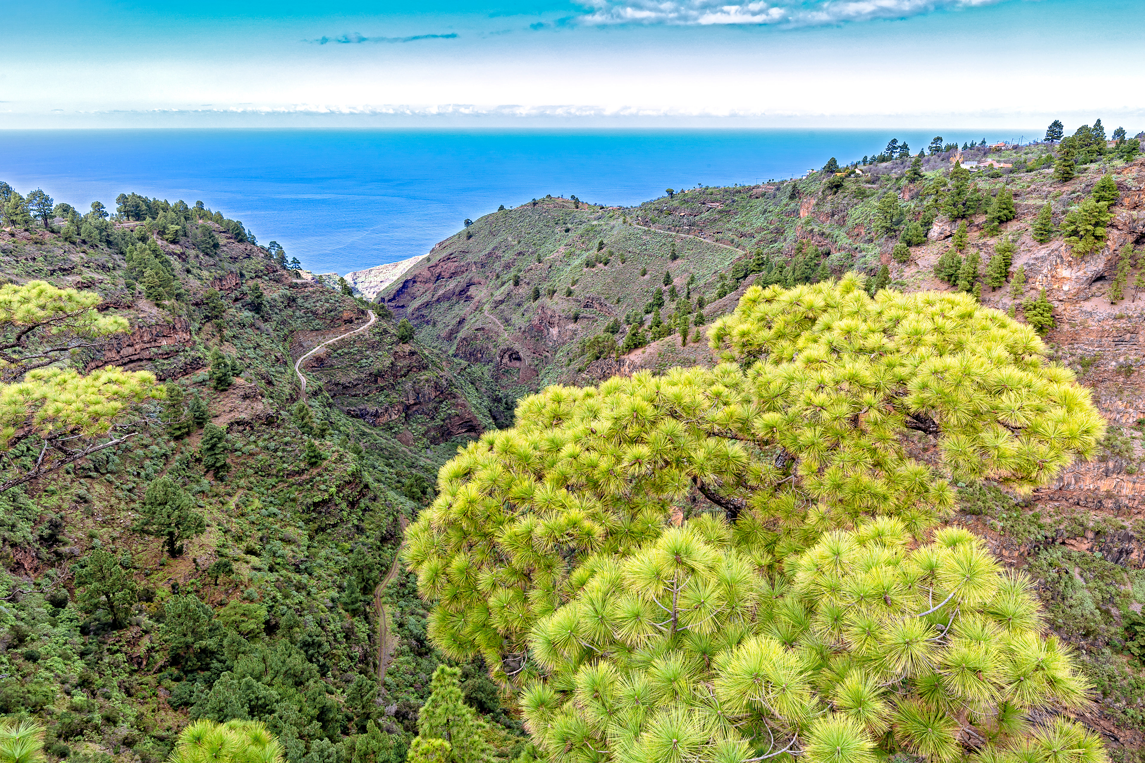 La Palma - Blick vom Mirador in die Schlucht von Izcagua in Puntagorda