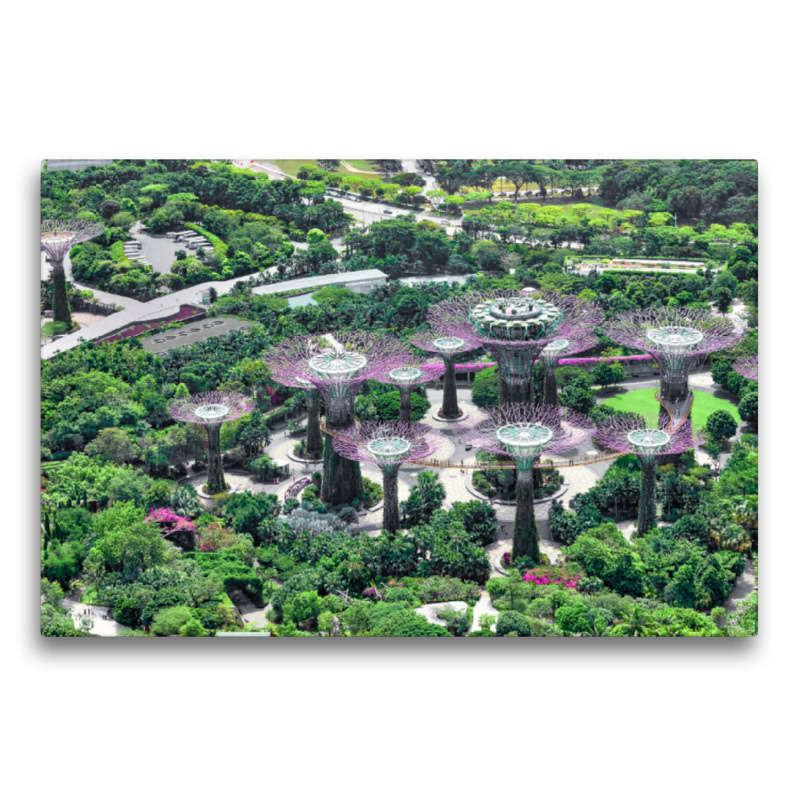Premium Textil-Leinwand - Singapur - Asiatische Lifestyle Metropole Gardens by the Bay mit den Super Trees
