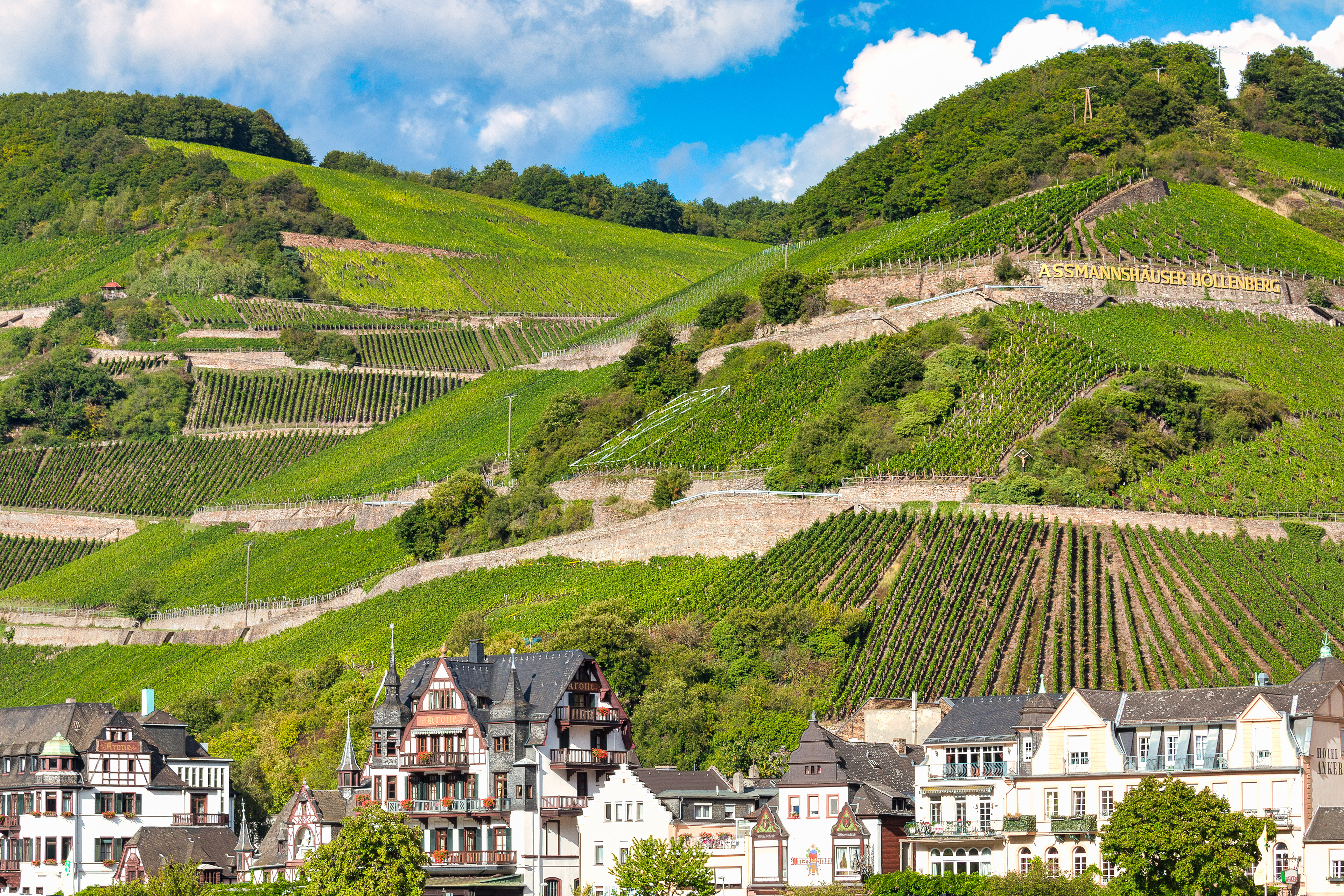 Assmannshäuser Höllenberg