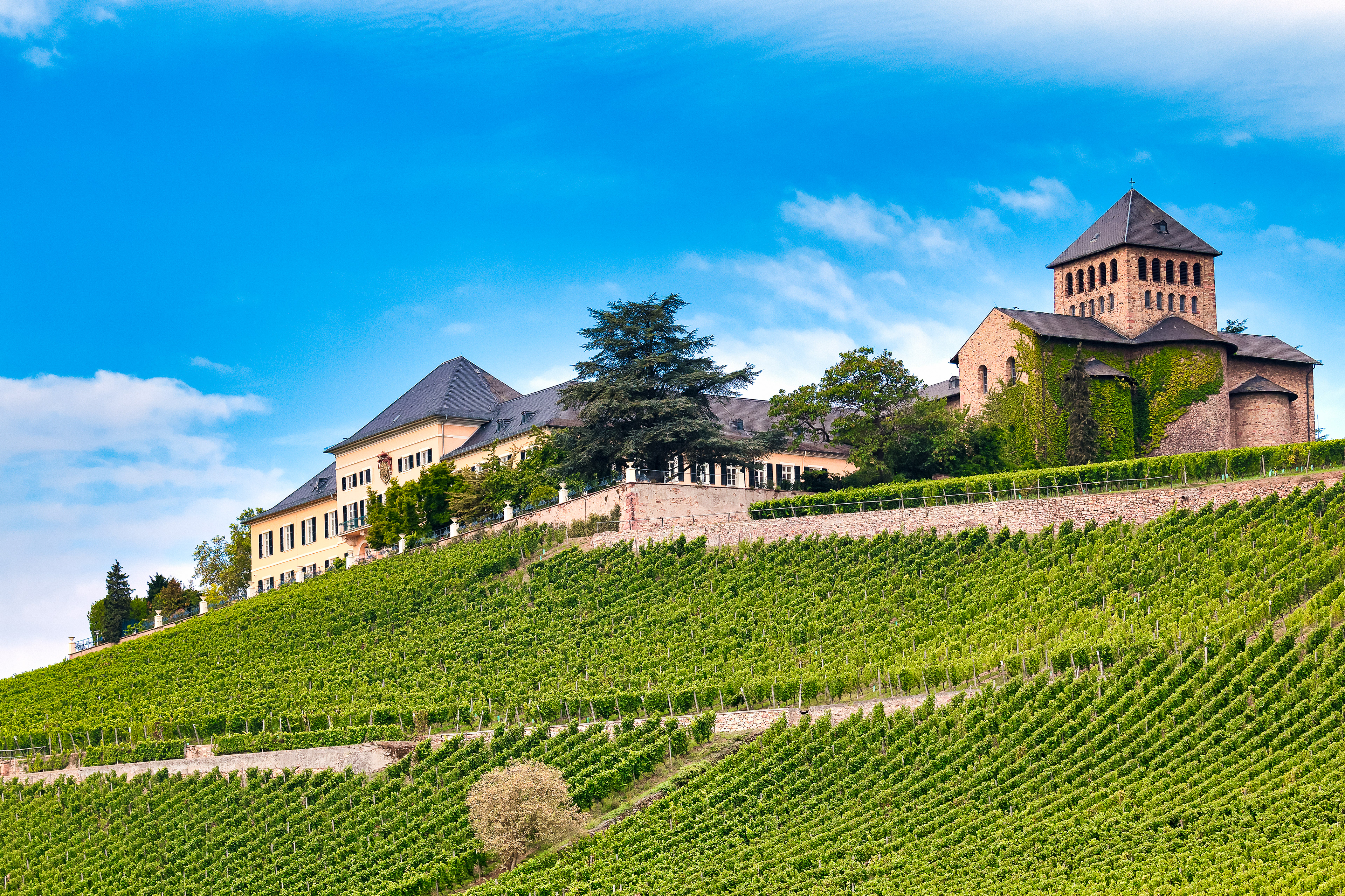 Schloss Johannisberg mit Basilika