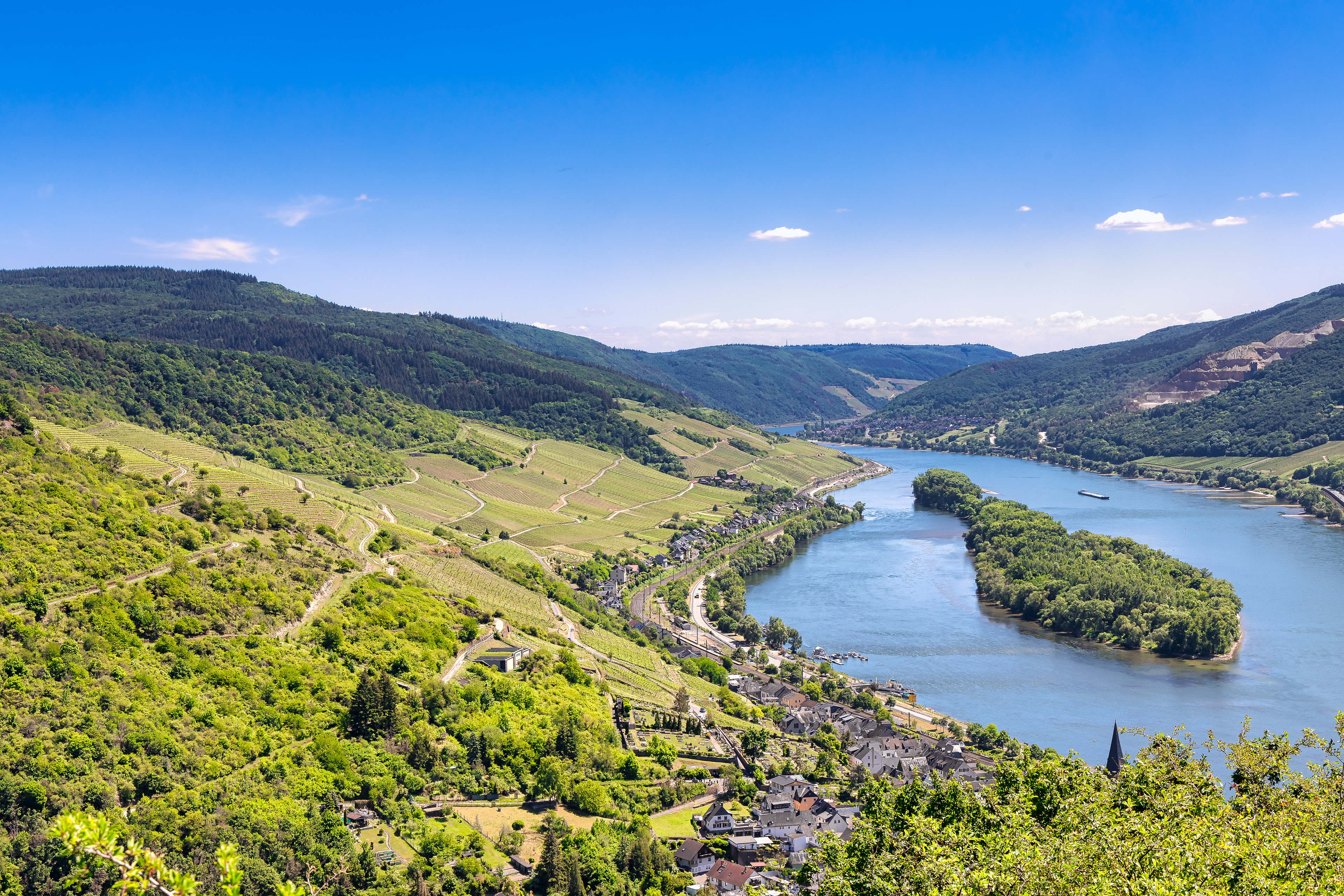 Weinberge bei Lorch am Rhein