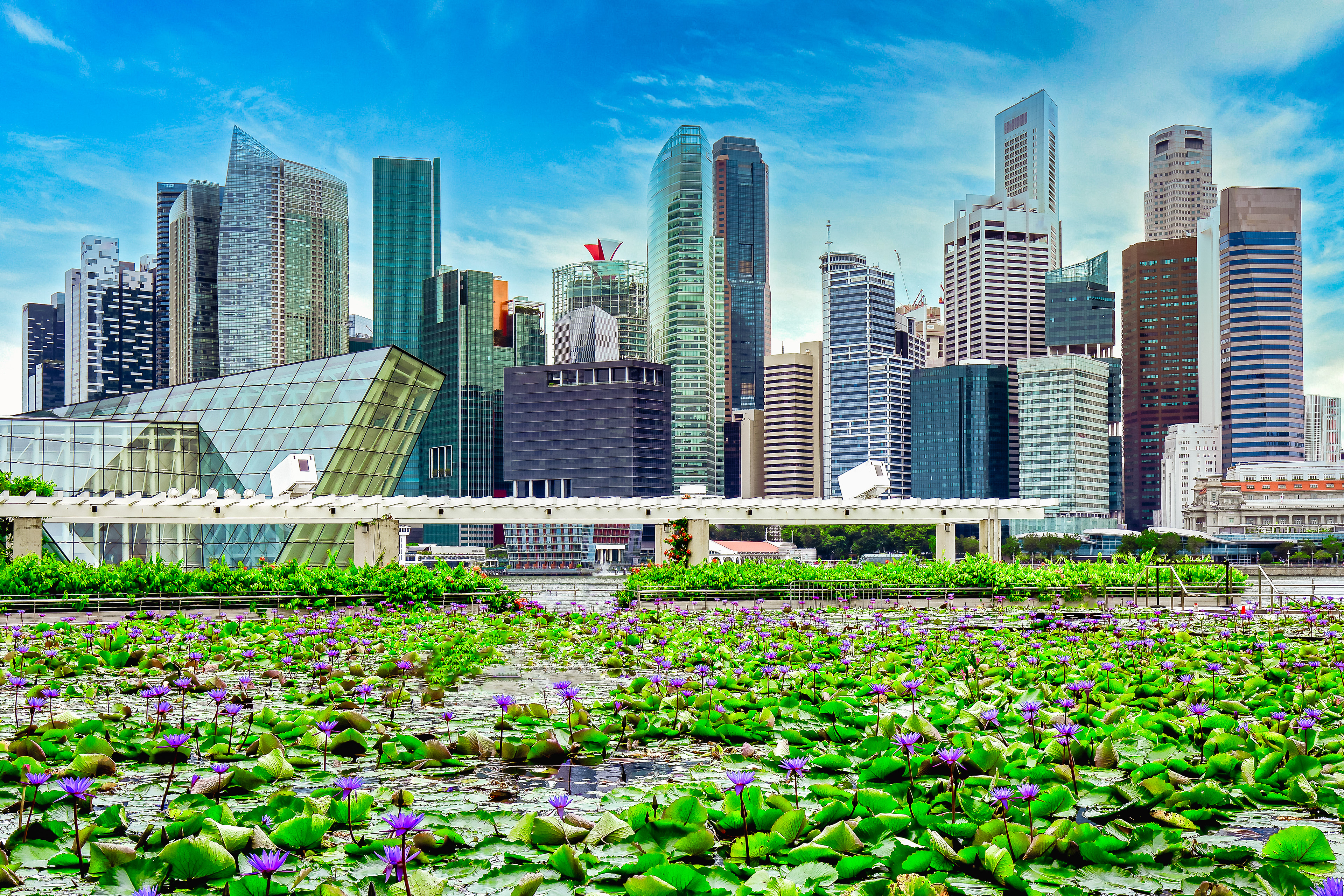 Skyline of the Central Business District 