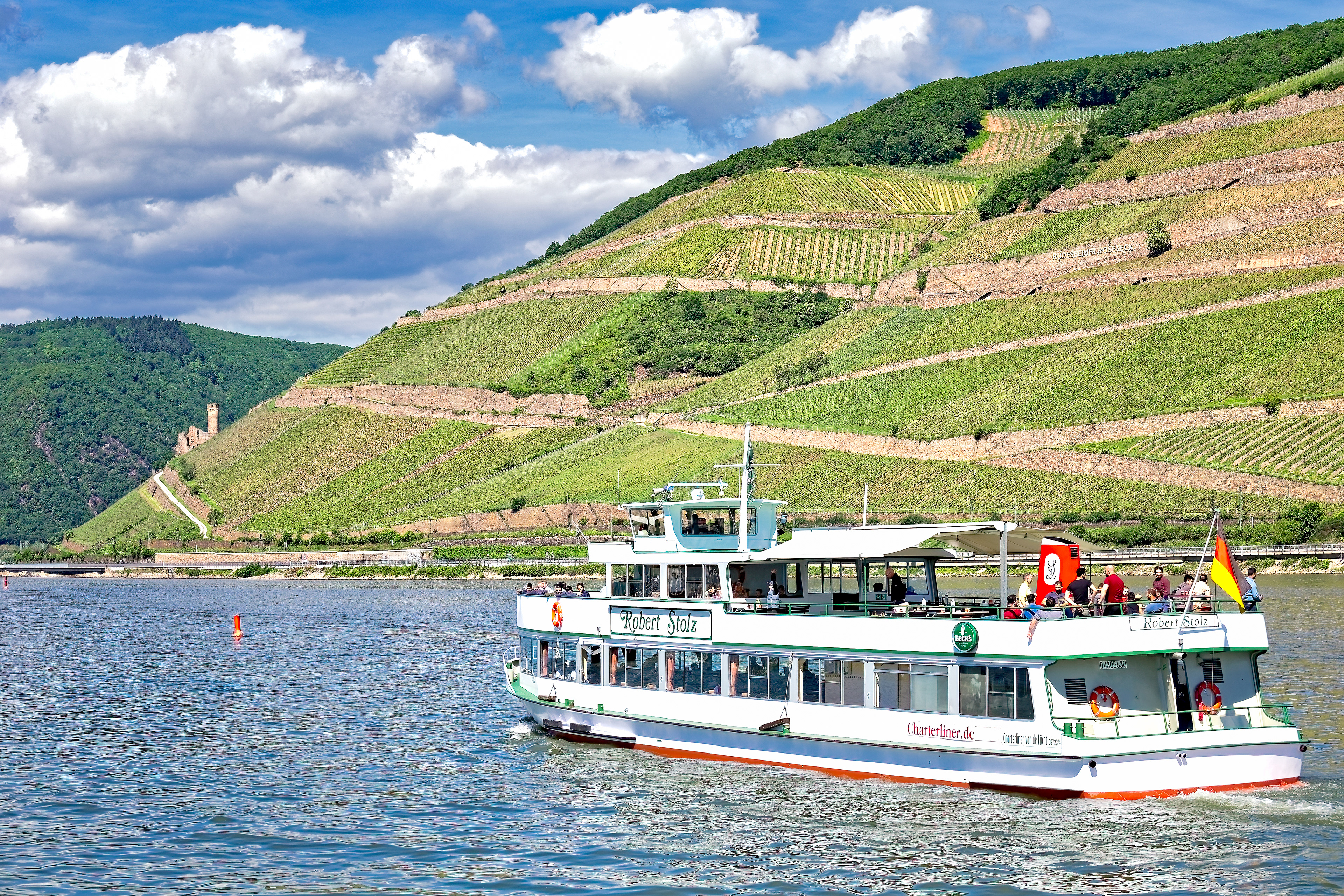 Rüdesheim - Burgen Rundfahrt - Burgruine Ehrenfels