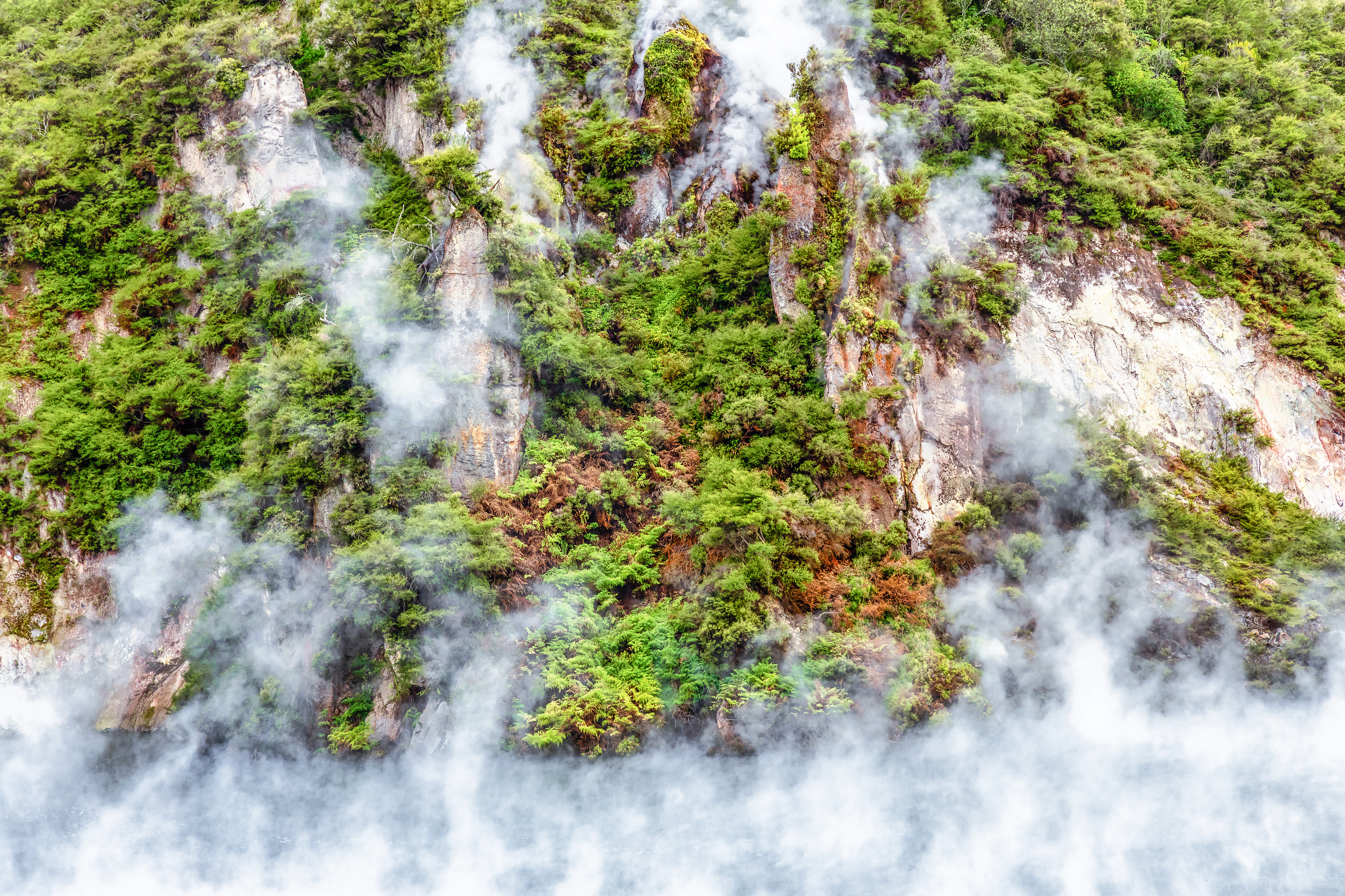 Rotorua Waimangu Volcanic Valley  