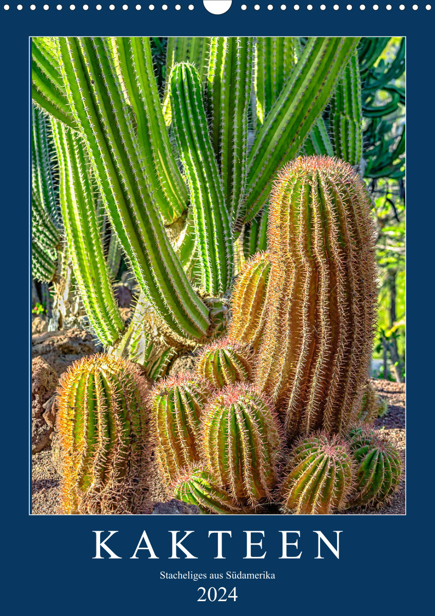 Kalender 2024 -Faszinierende Kakteengewächse aus Südamerika (Monatskalender, 14 Seiten )