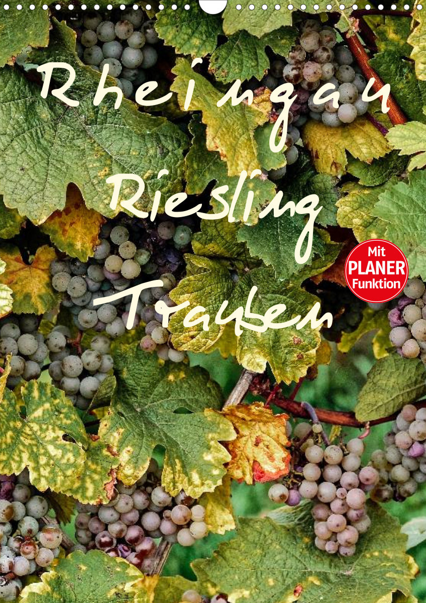 Kalender 2024 -Rheingau - Riesling Trauben