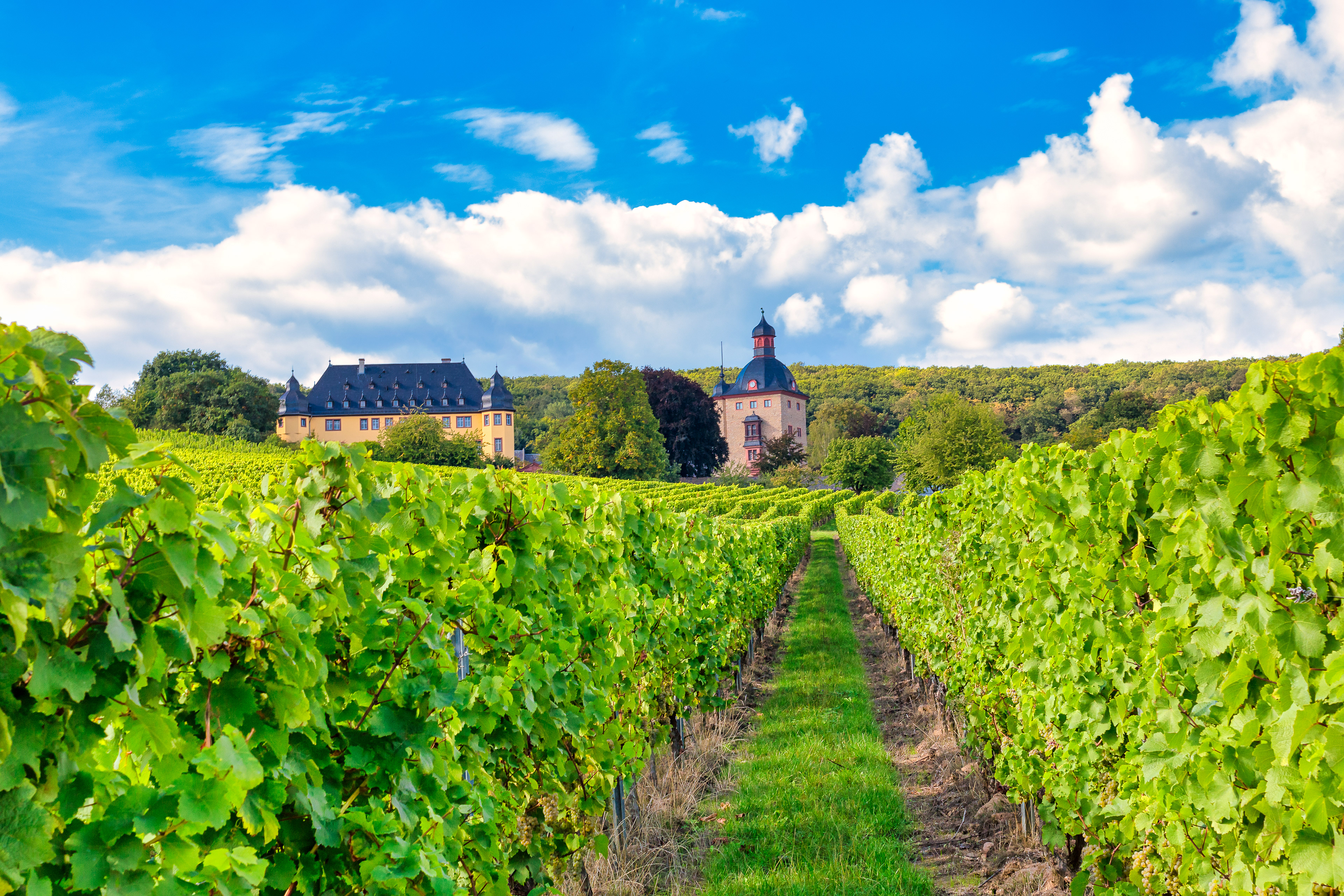 Schloss Vollrads im Rheingau