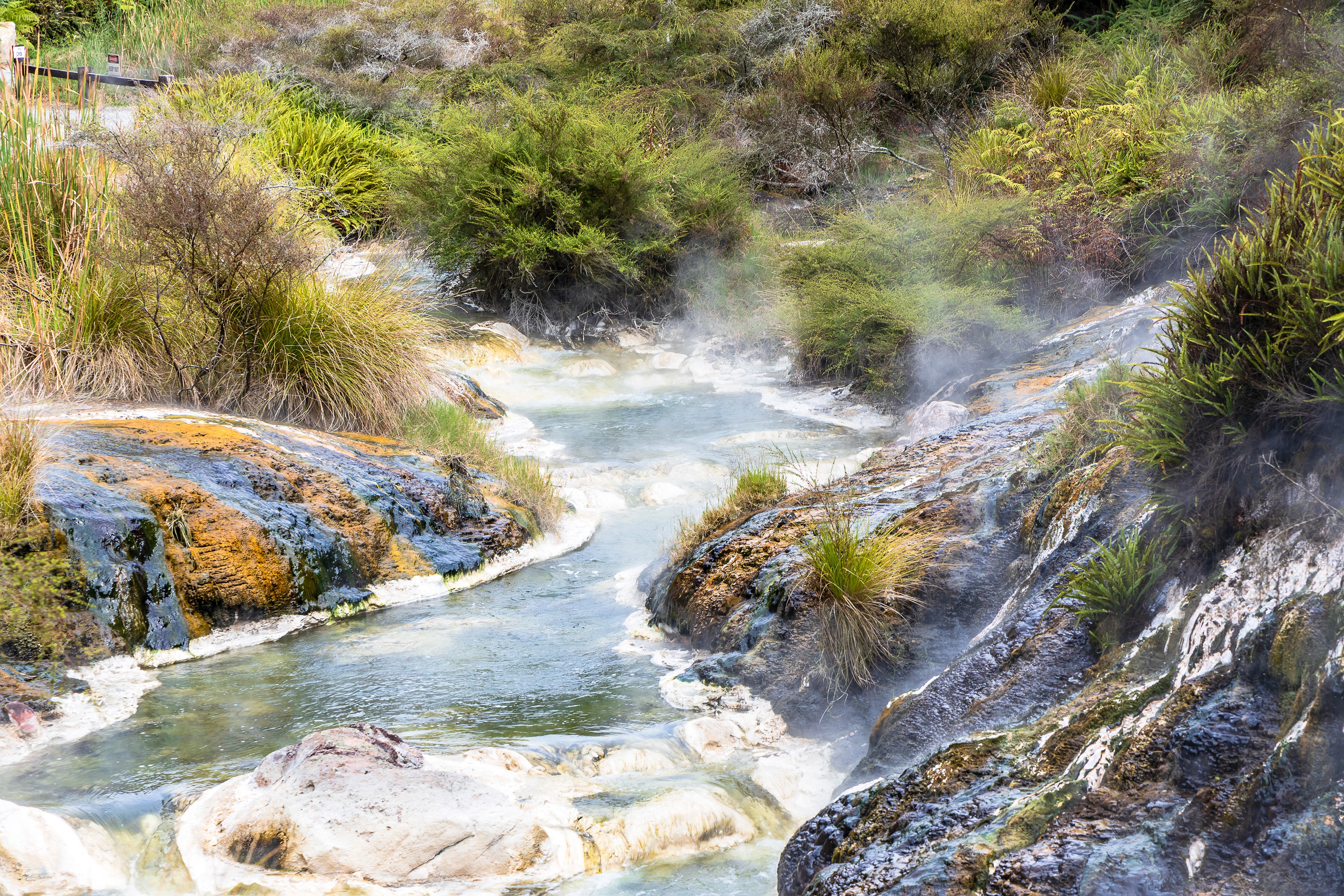 Rotorua Waimangu Volcanic Valley with the Inferno Crater  