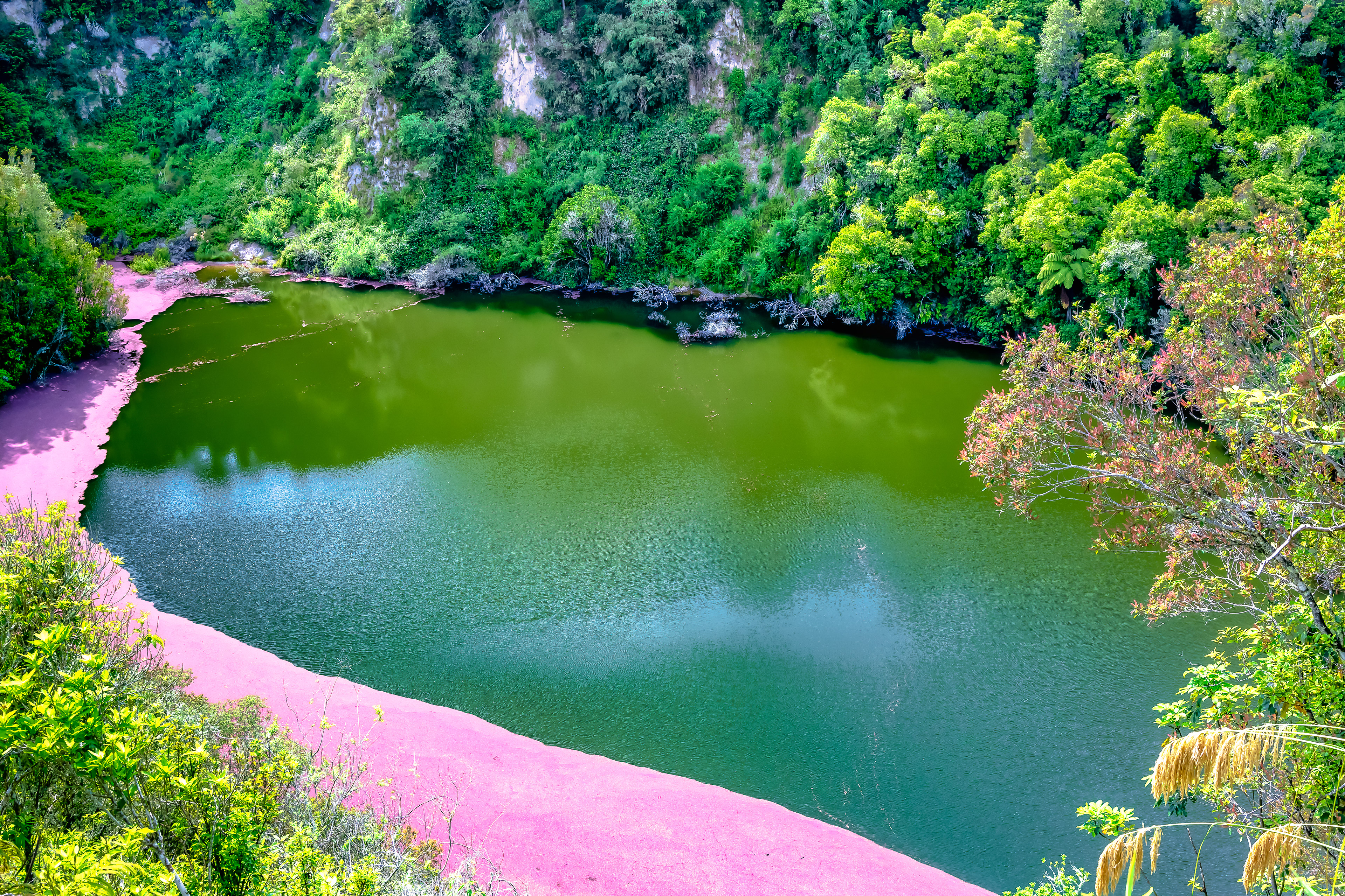 Echo crater with the frying pan lake in the Waimangu Valley    